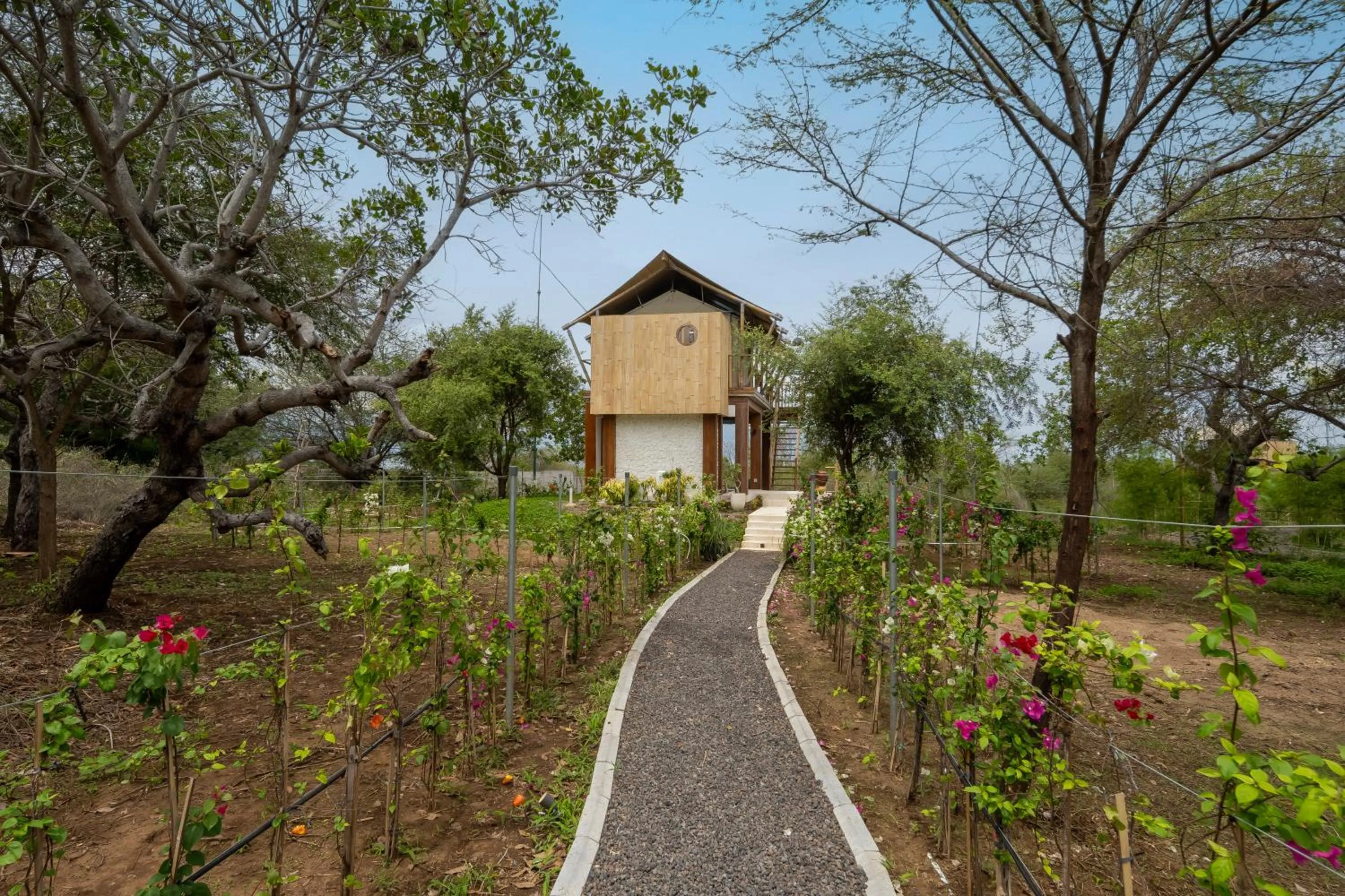 Menjangan Dynasty Resort