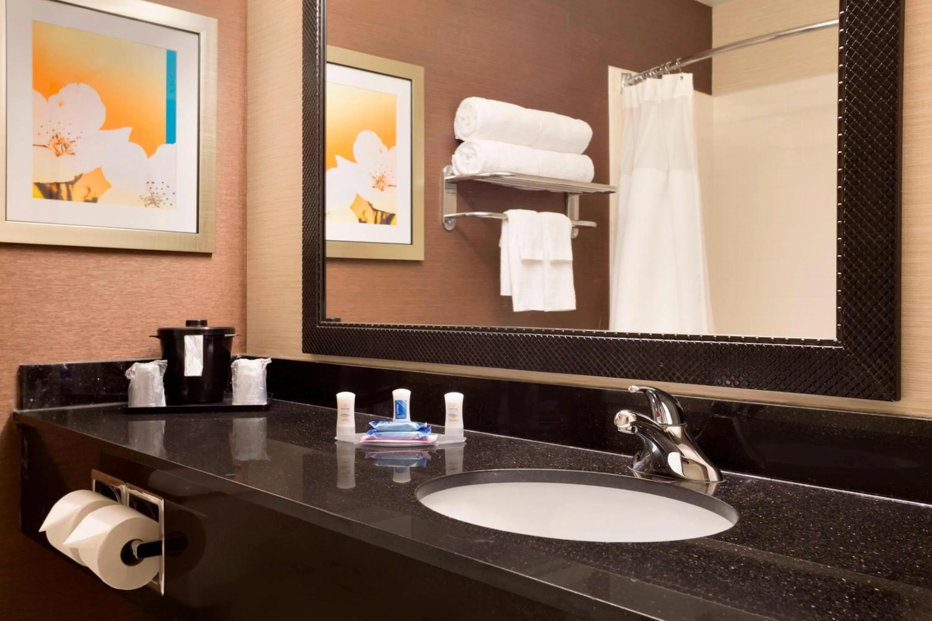 Bathroom in Fairfield Inn & Suites by Marriott Dallas Plano