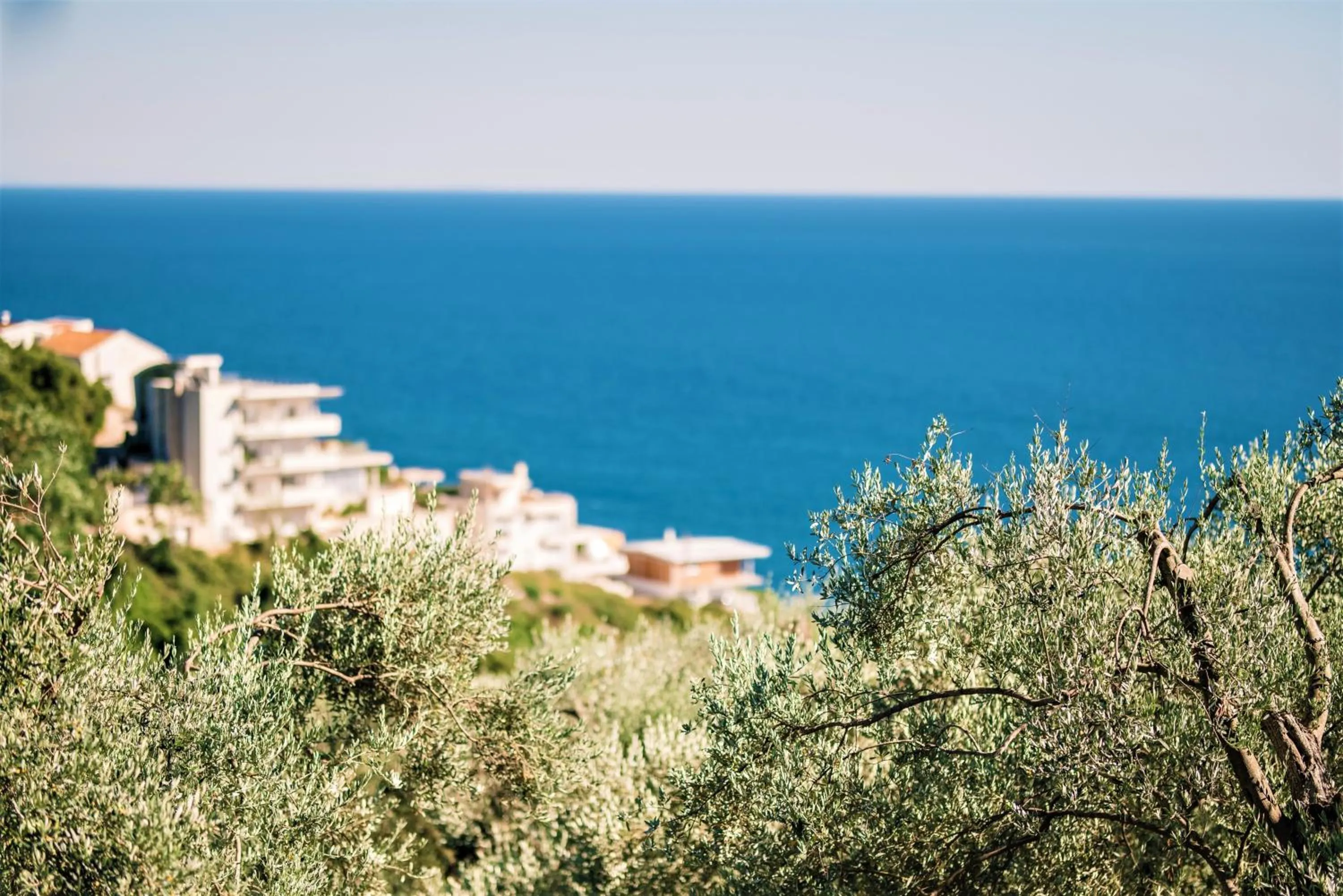 Property building in Holiday Park Olive Tree