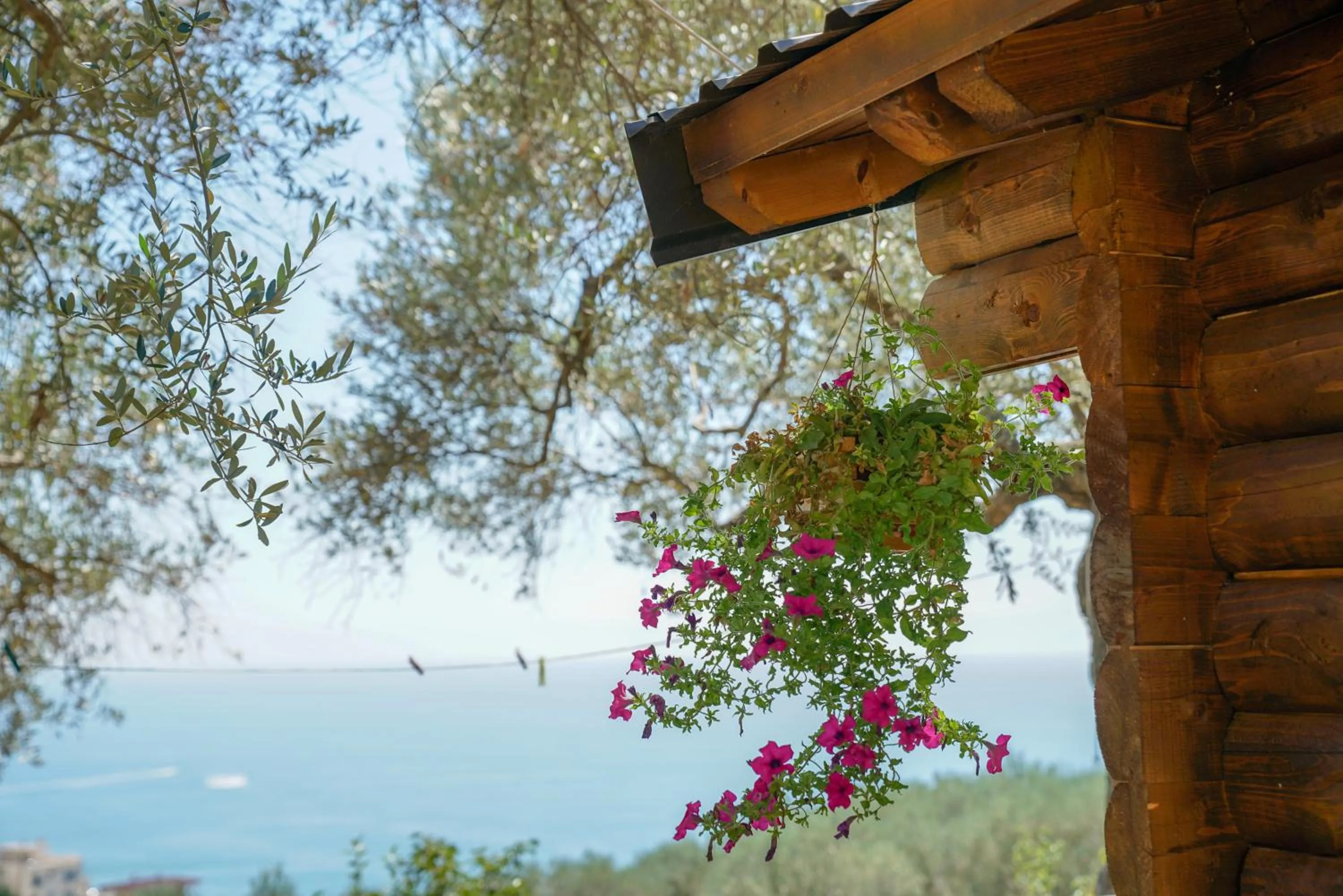 Sea view in Holiday Park Olive Tree