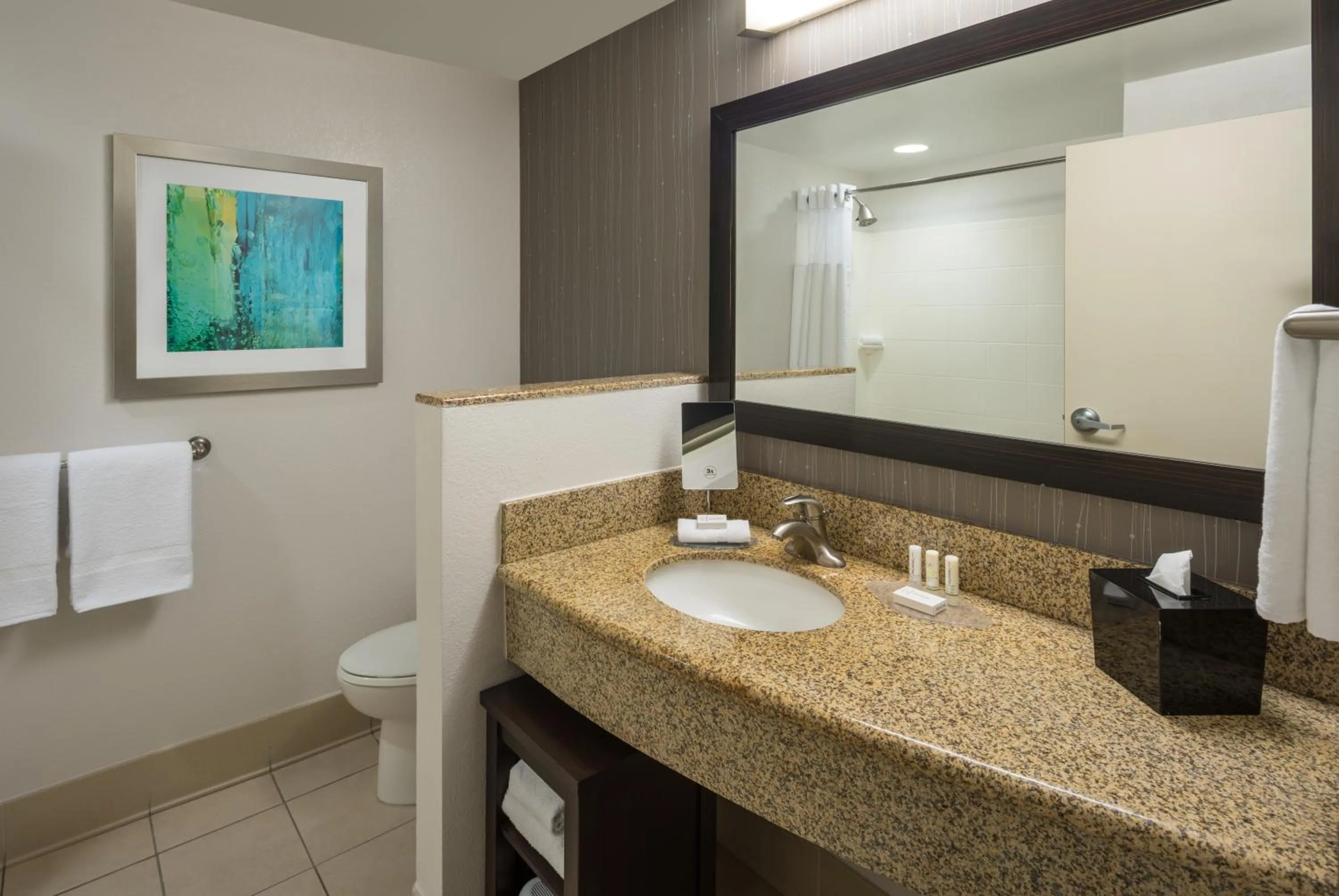 Bathroom in Courtyard by Marriott Miami West/FL Turnpike