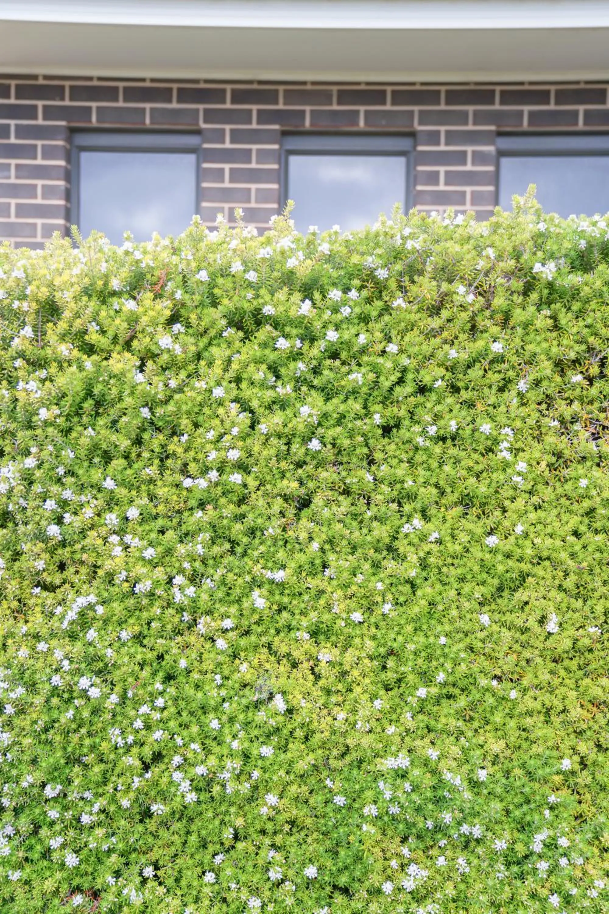 Garden in Villas on the Bay Kingscote