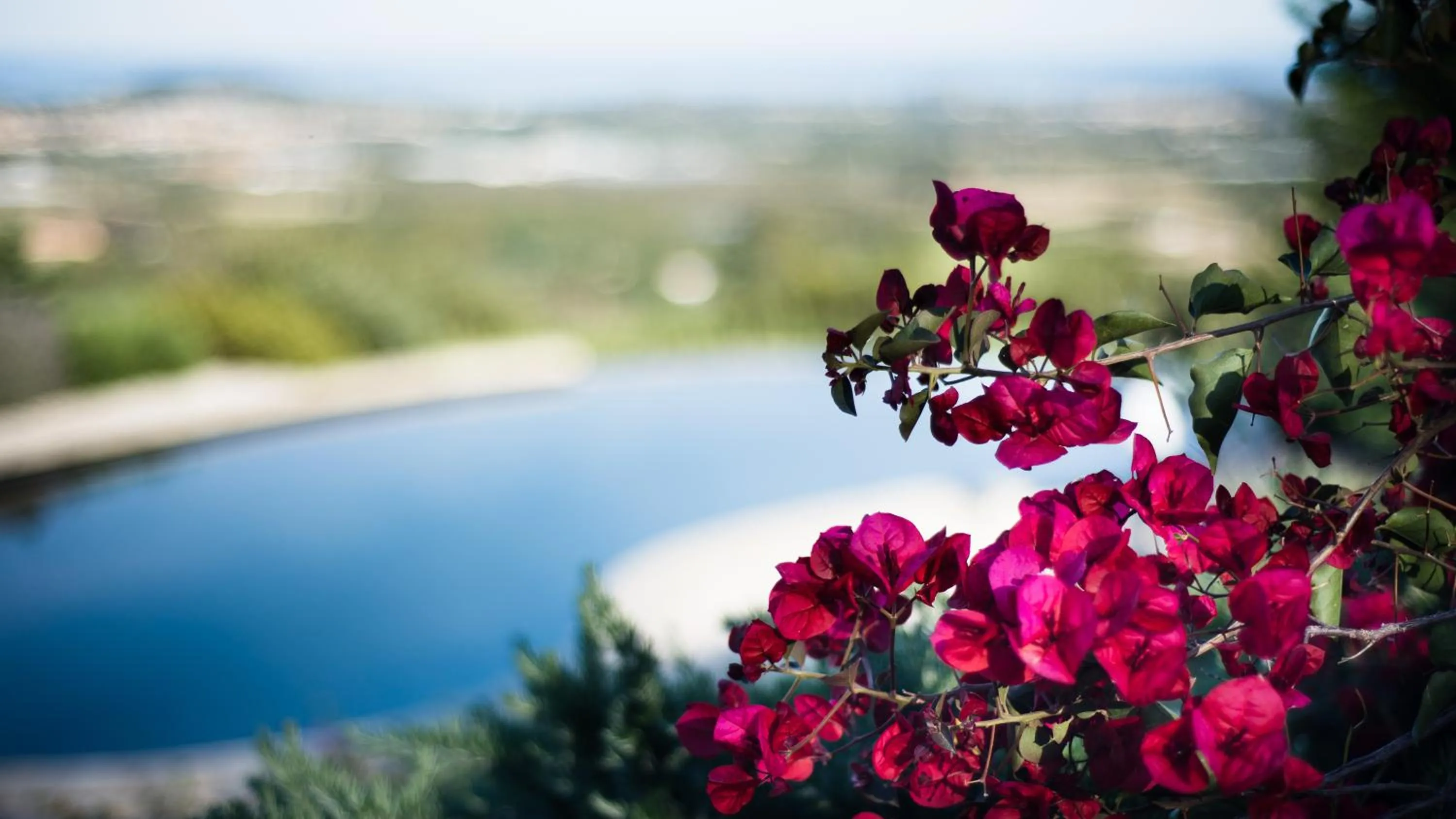 Swimming pool in Le Tre Civette - Residenza di Campagna