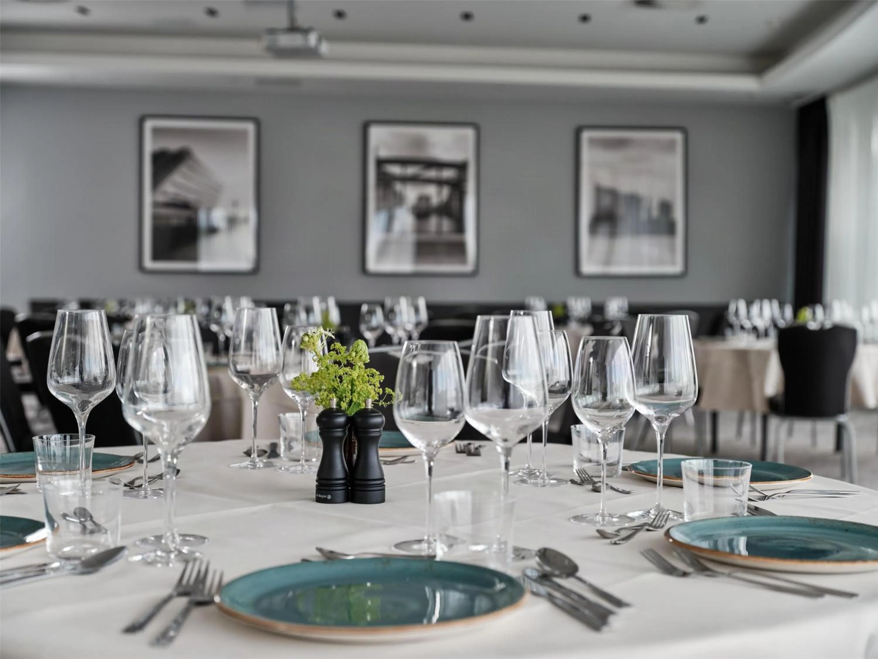 Banquet/Function facilities in Radisson Blu Hotel, Hamburg Airport