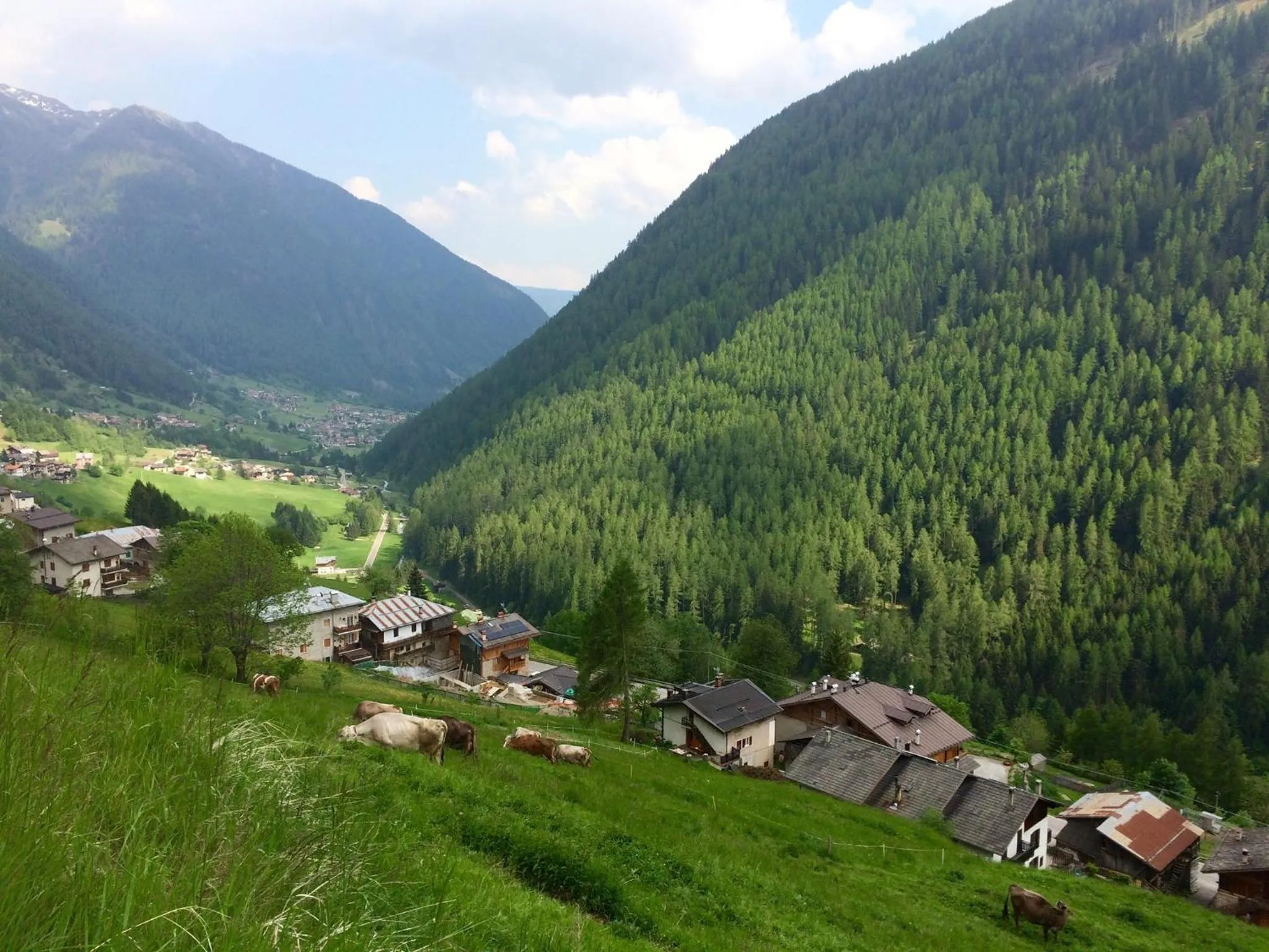 Agritur Maso Ciprianna B&B