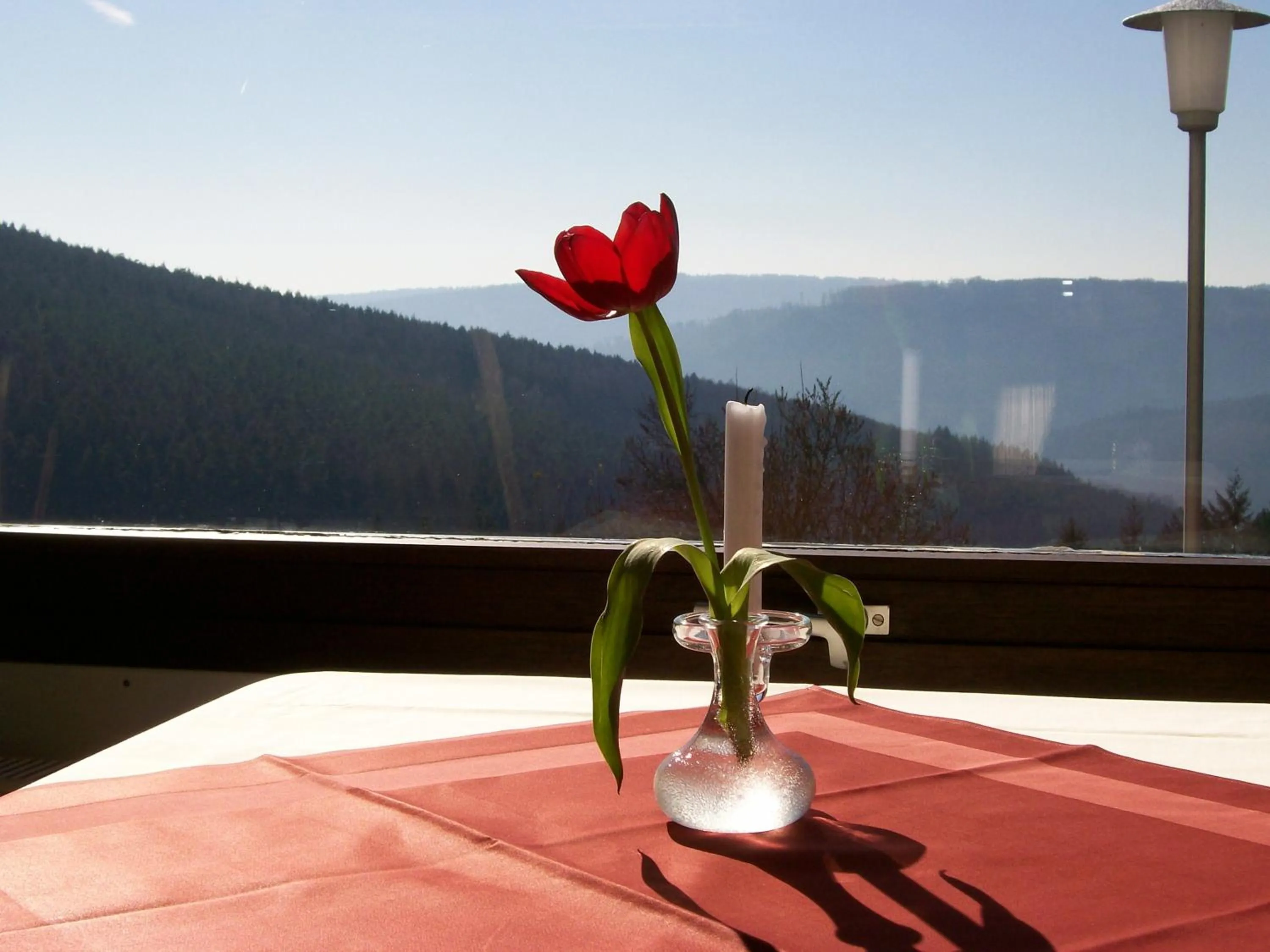 Restaurant/places to eat in Zum Weissen Lamm