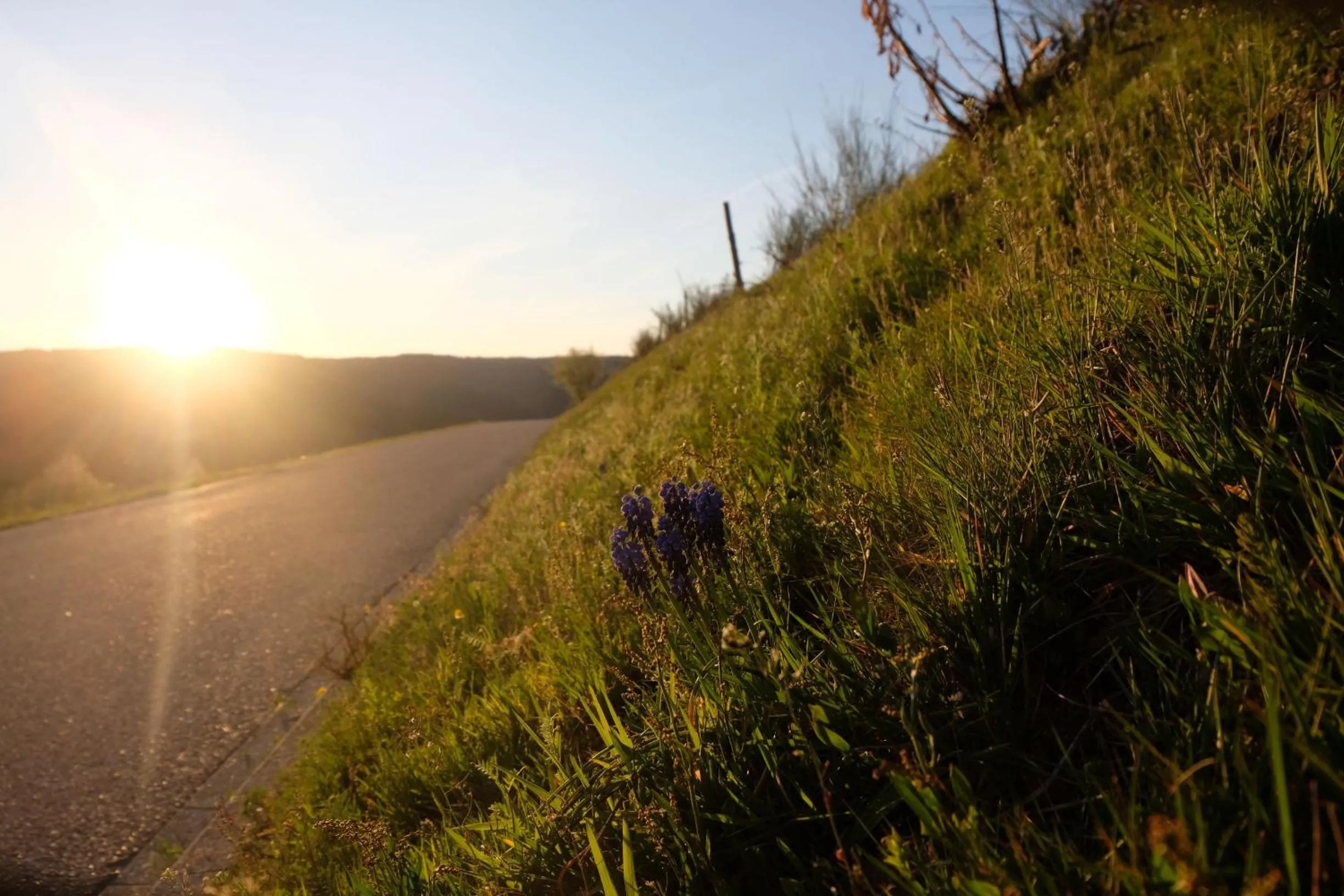 Natural landscape in Zum Weissen Lamm