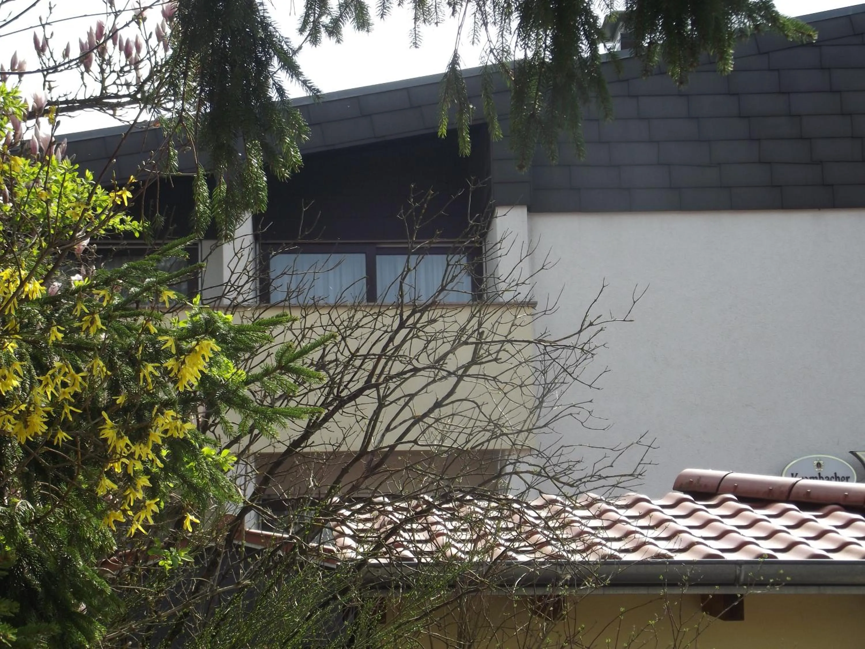 Property building in Zum Weissen Lamm