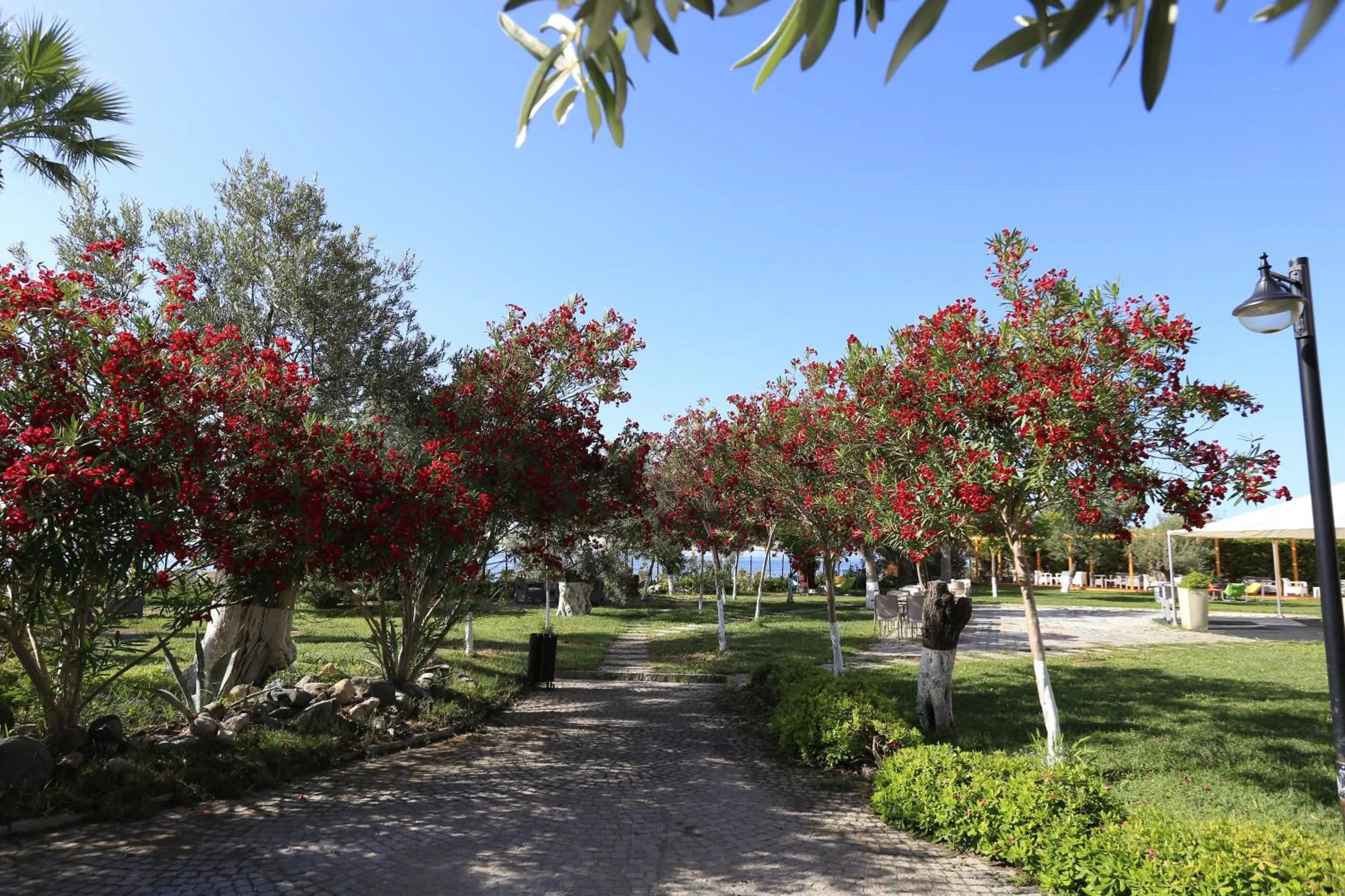Garden in Rawda Resort Hotel Altinoluk