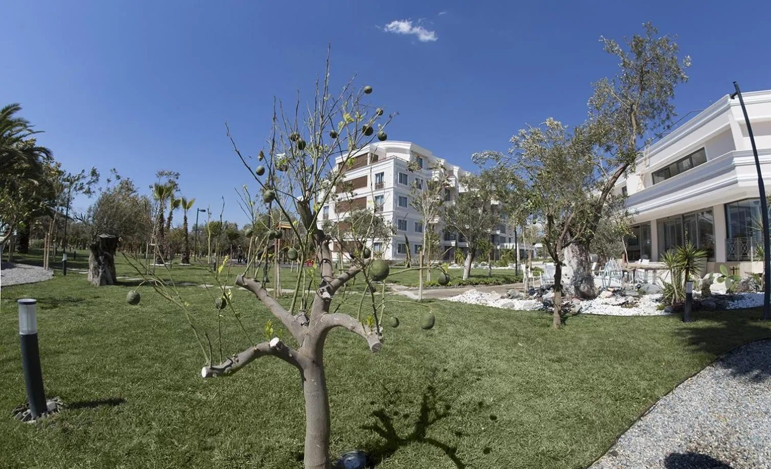 Garden in Rawda Resort Hotel Altinoluk