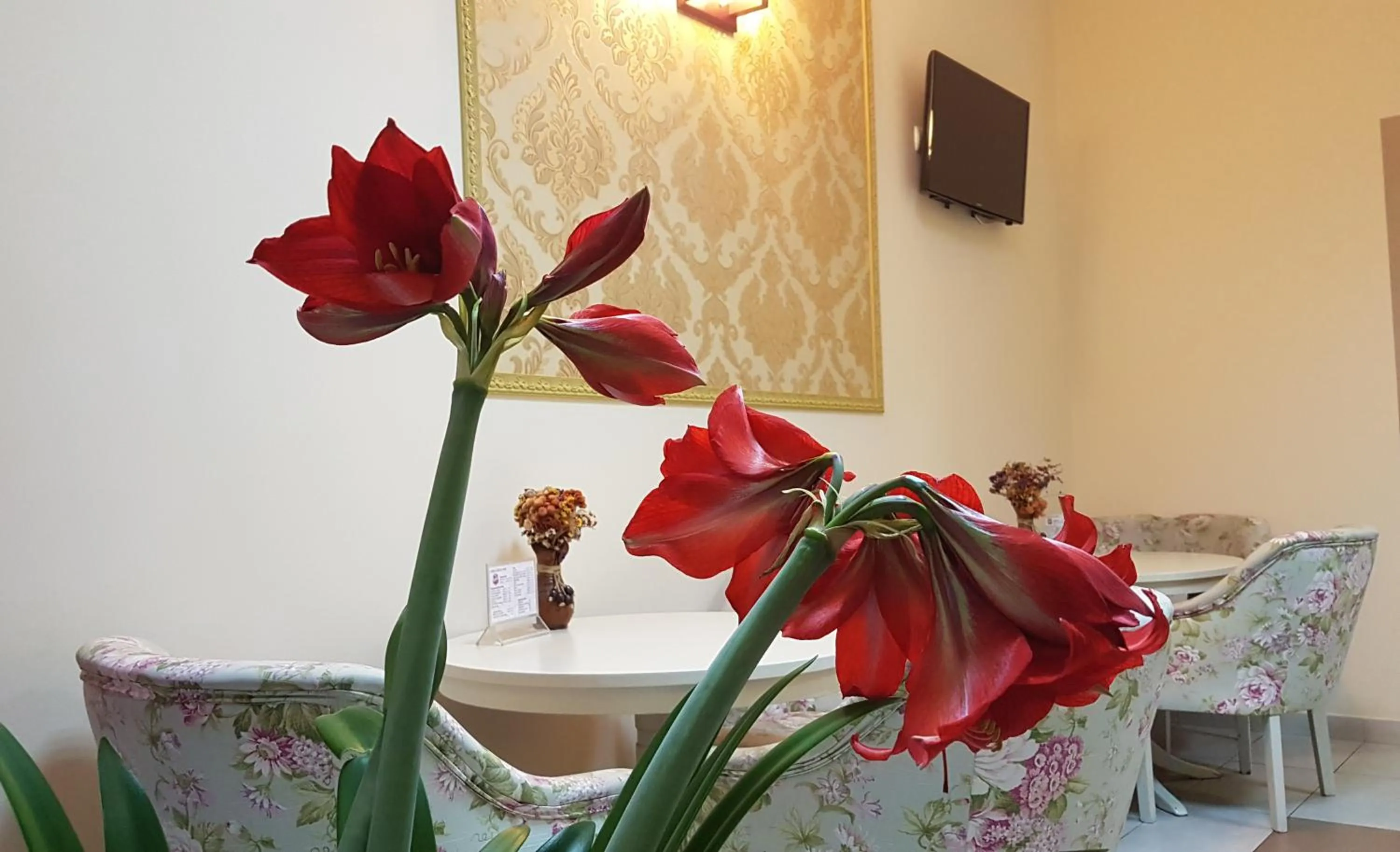 Communal lounge/ TV room in Hotel New