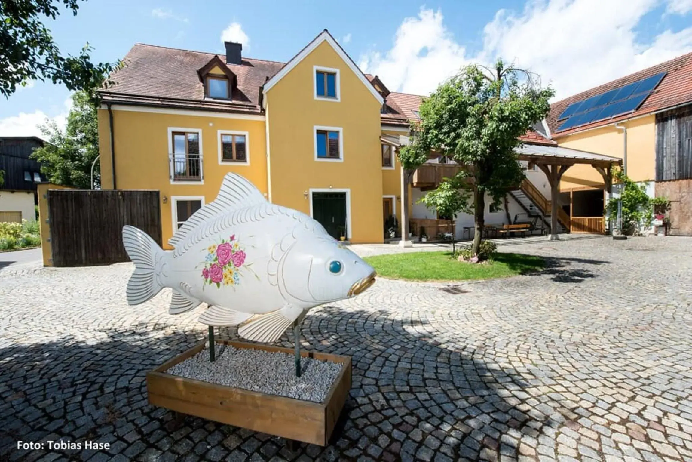 Fischhof Beer Fischhof Beer