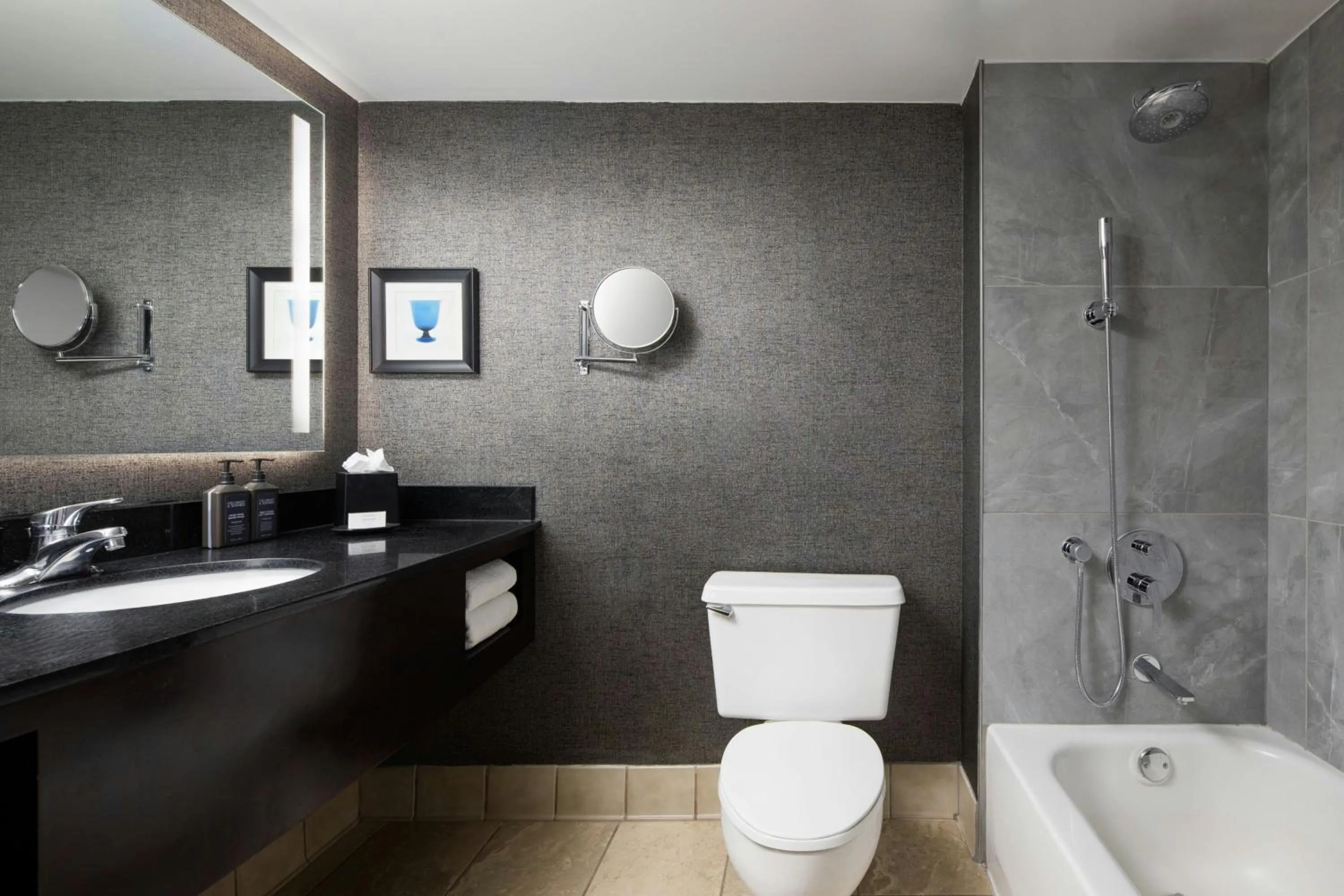 Bathroom in Sheraton DFW Airport Hotel