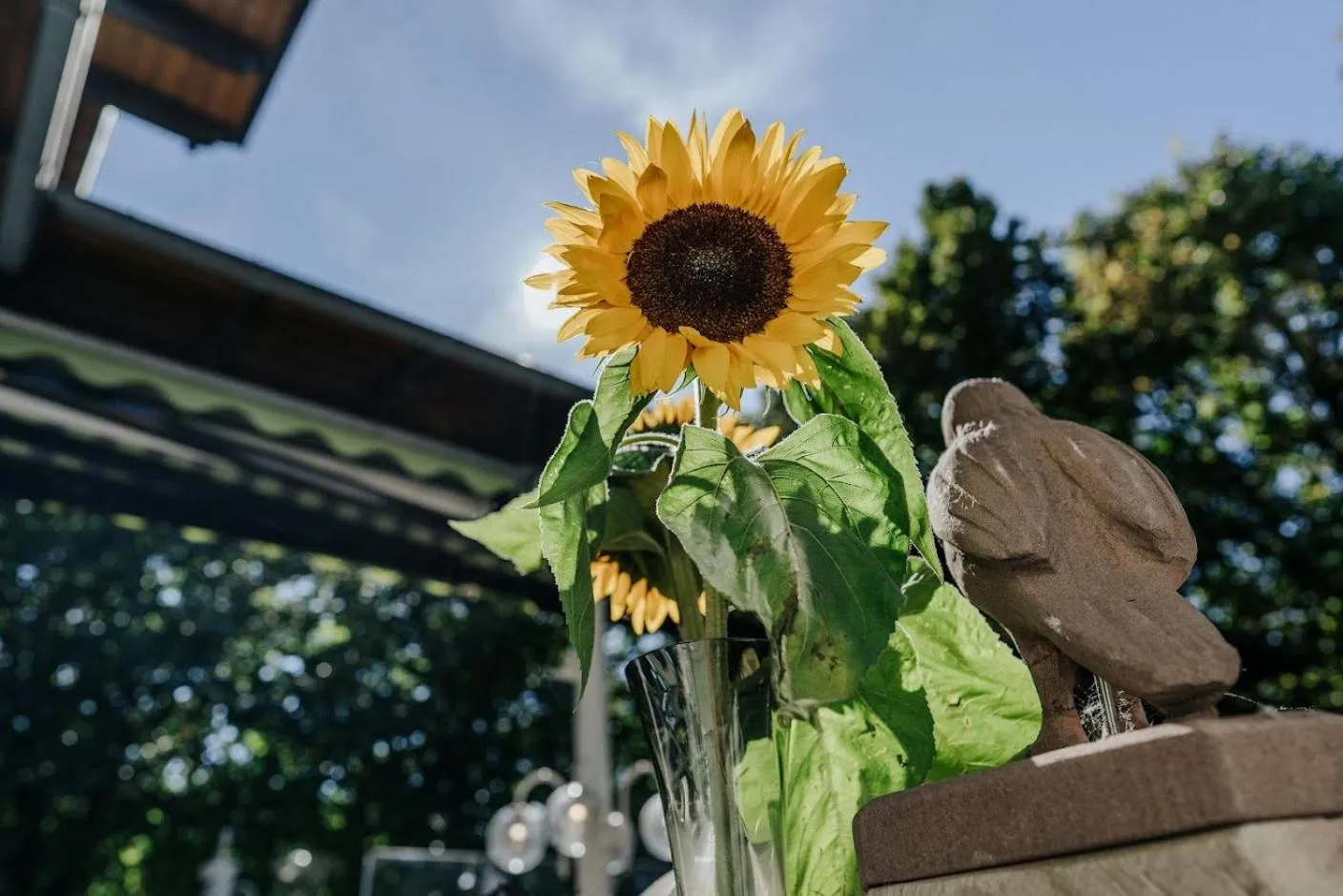Balcony/Terrace in Landgasthof Adler