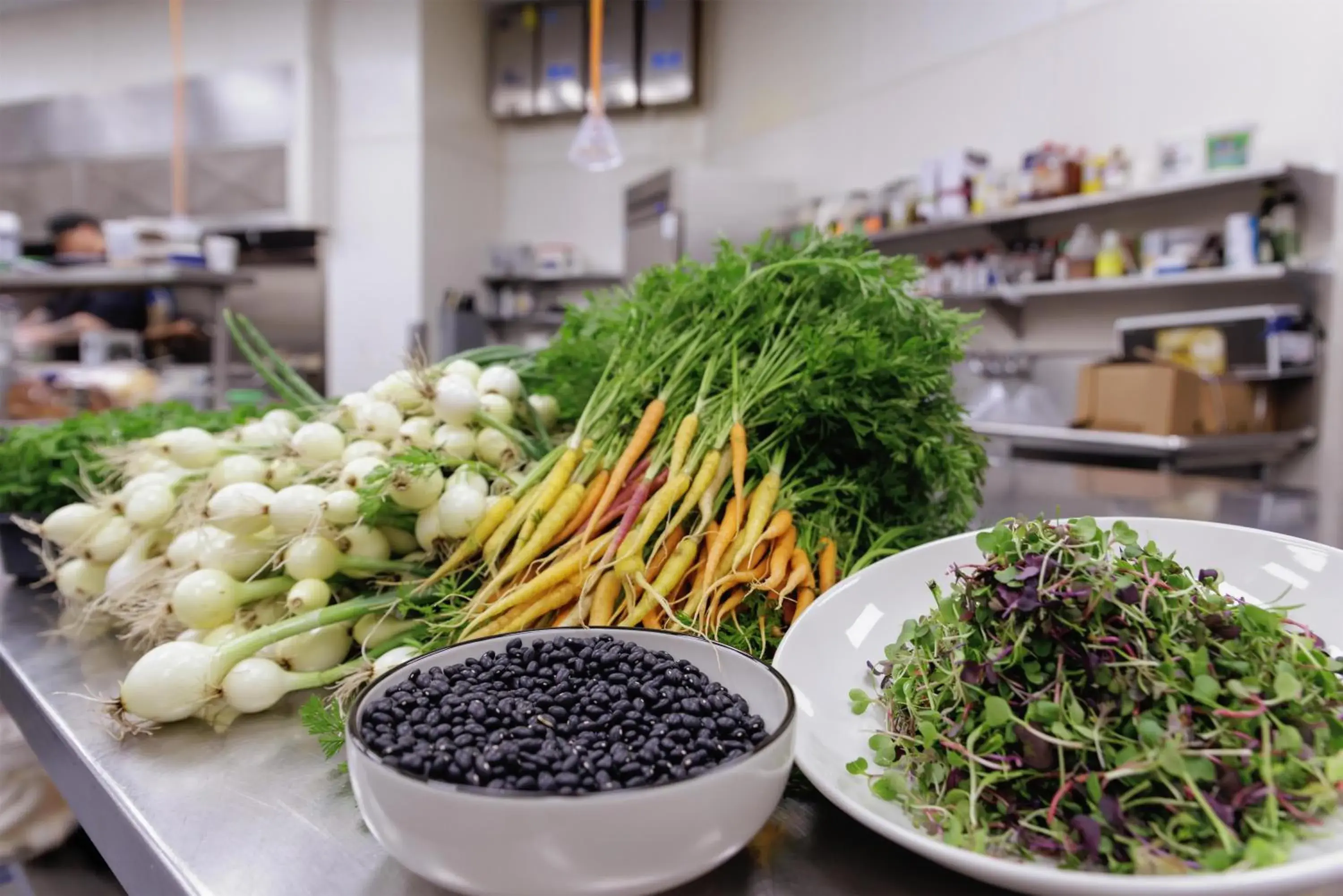 Restaurant/places to eat in Hyatt Centric Chicago Ohare Restaurant/places to eat in Hyatt Centric Chicago Ohare