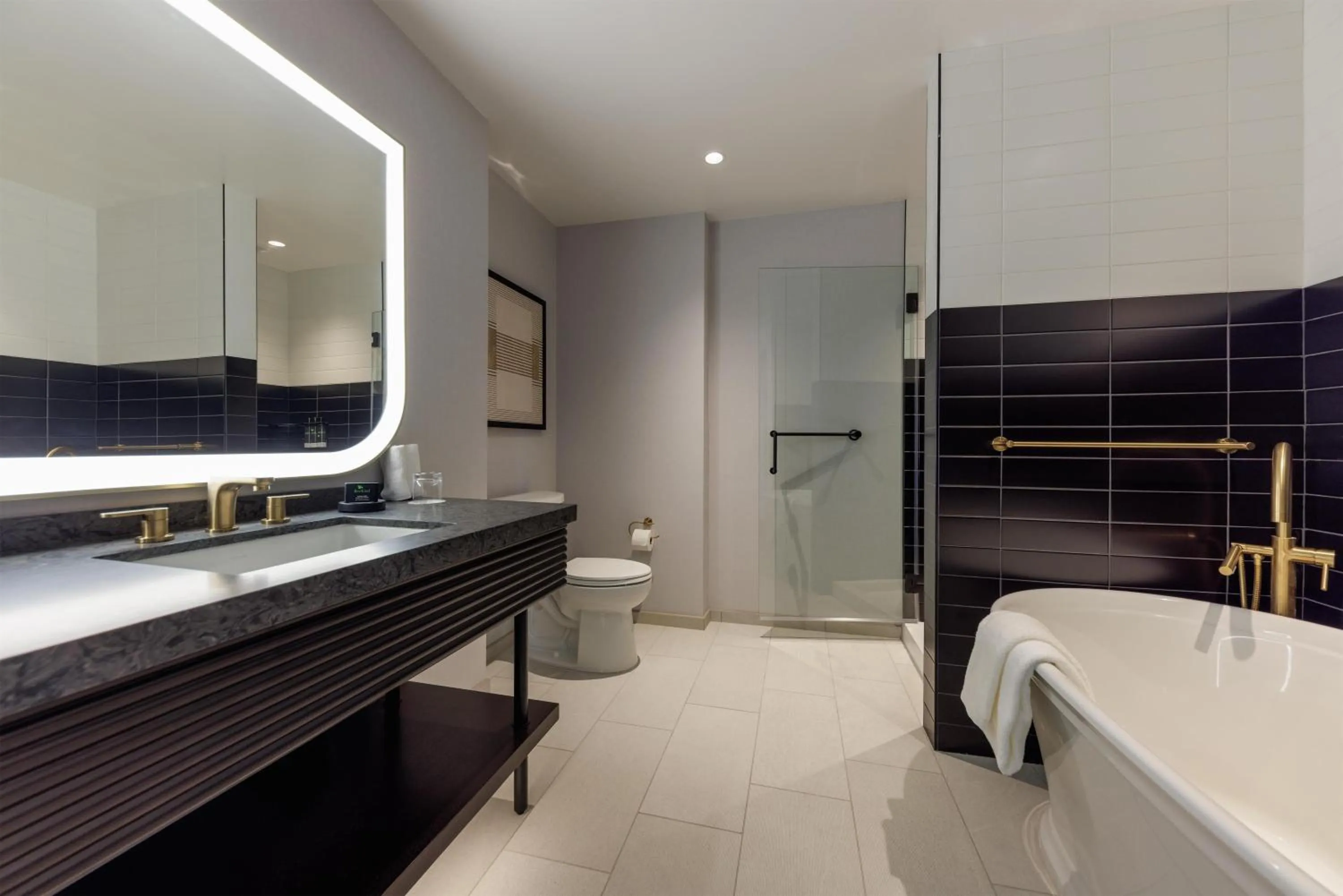 Bathroom in Hyatt Centric Chicago Ohare