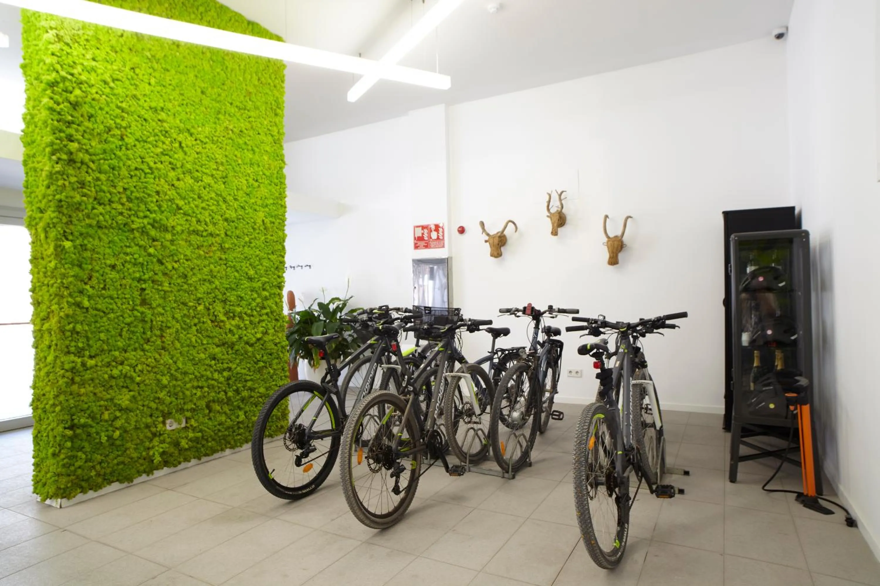 Cycling in Sud Ibiza Suites