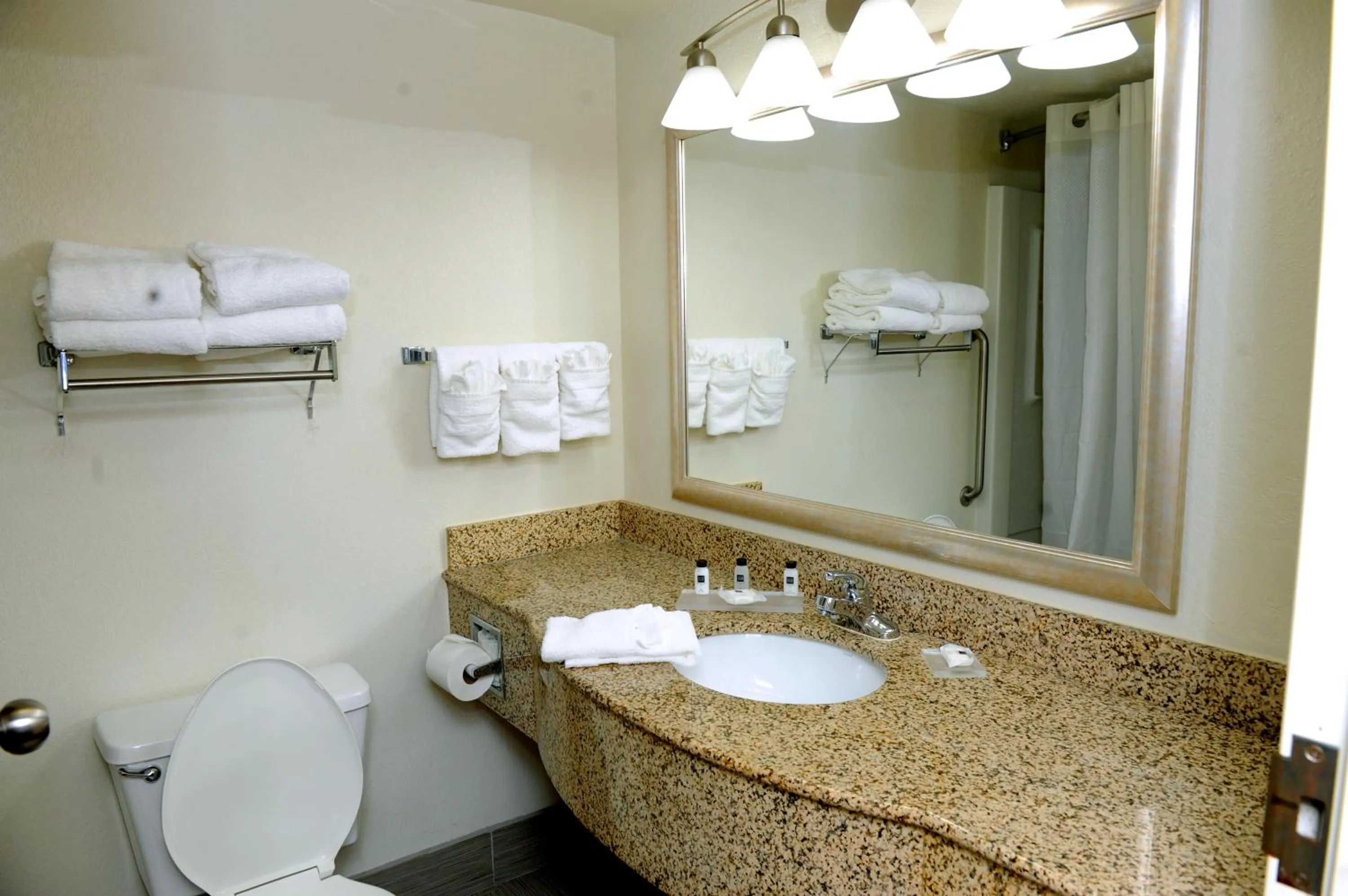 Toilet in Country Inn & Suites by Radisson, Alpharetta, GA