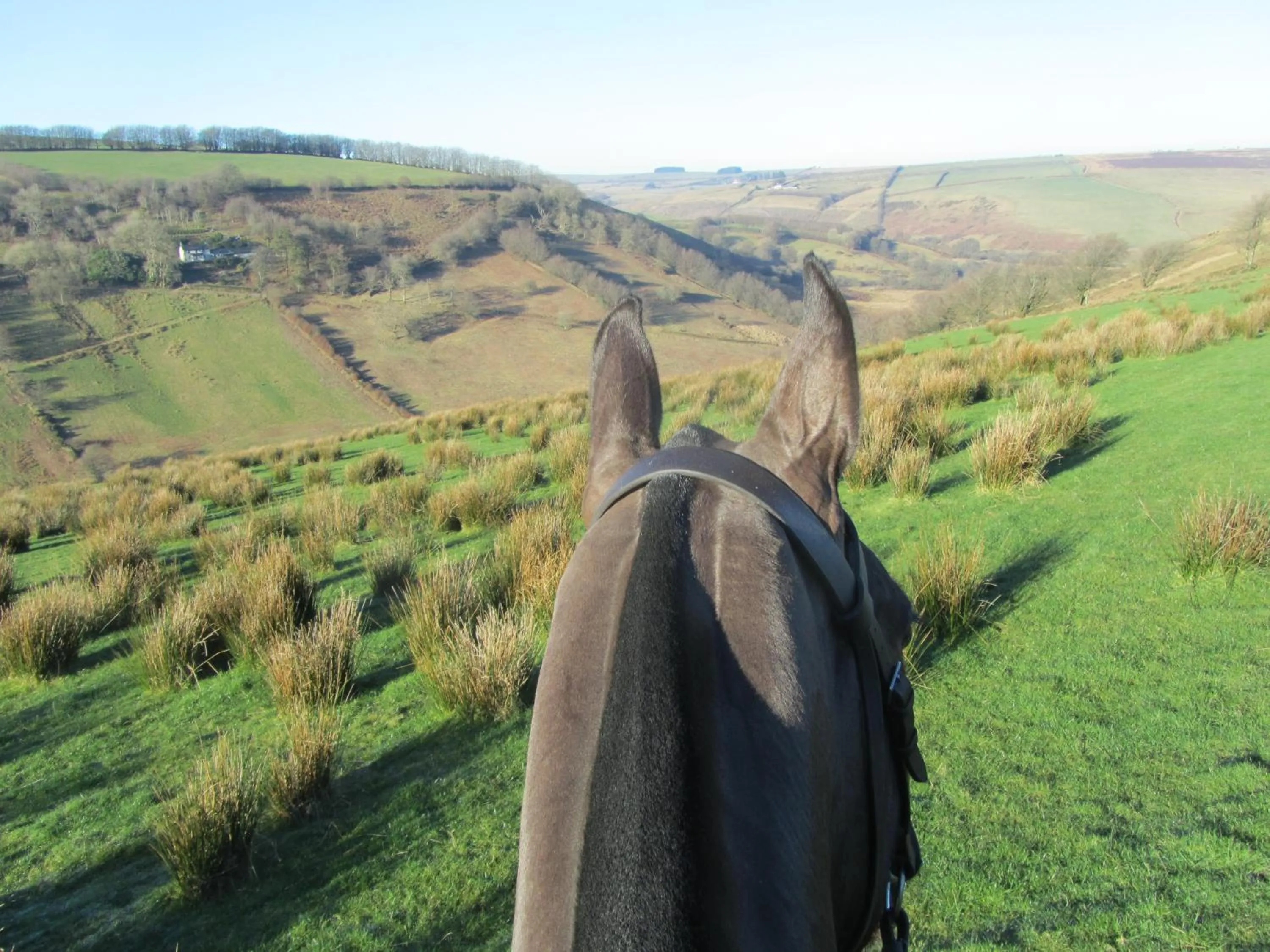 Natural landscape in Kings Farm
