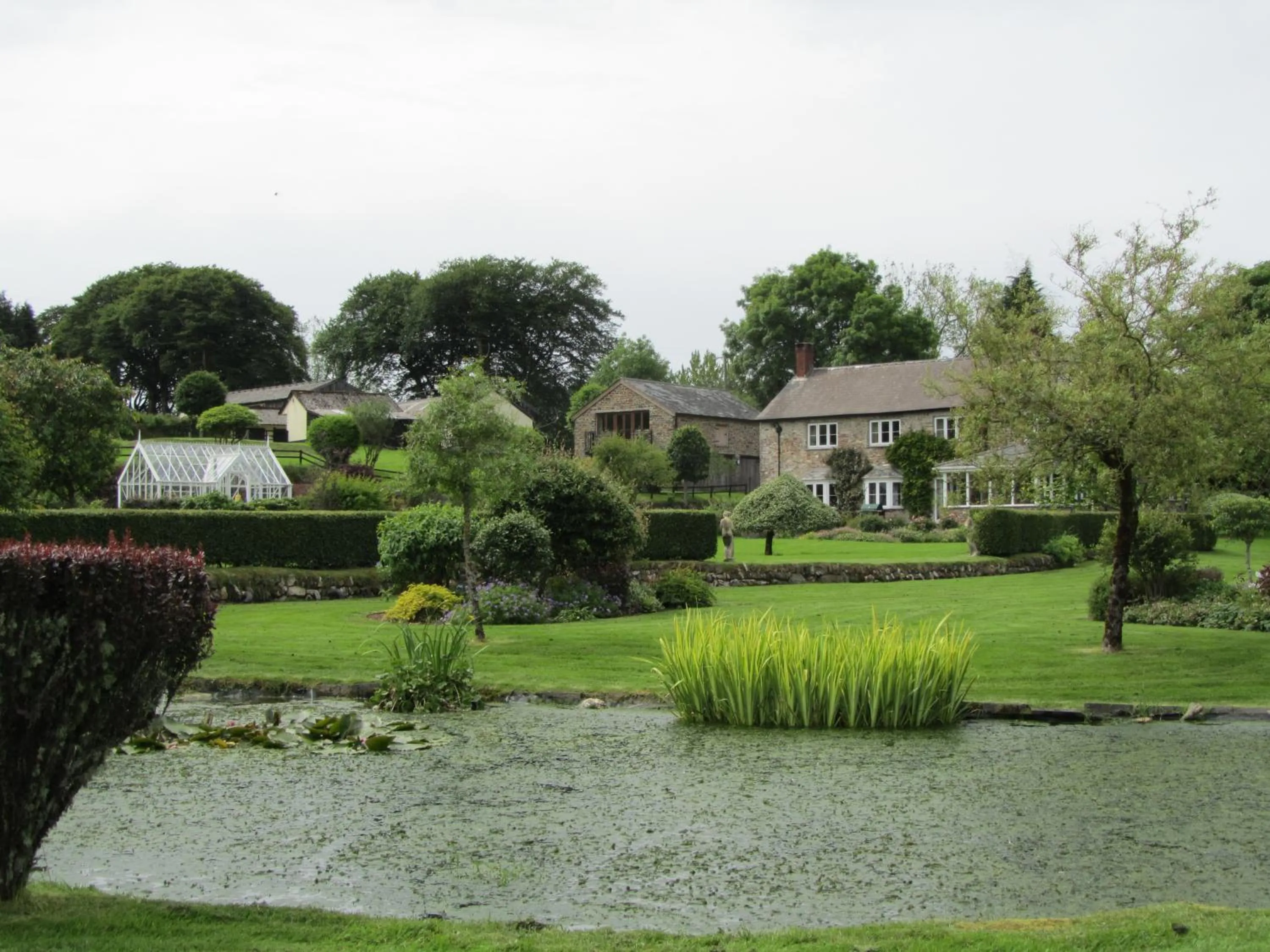 Garden in Kings Farm