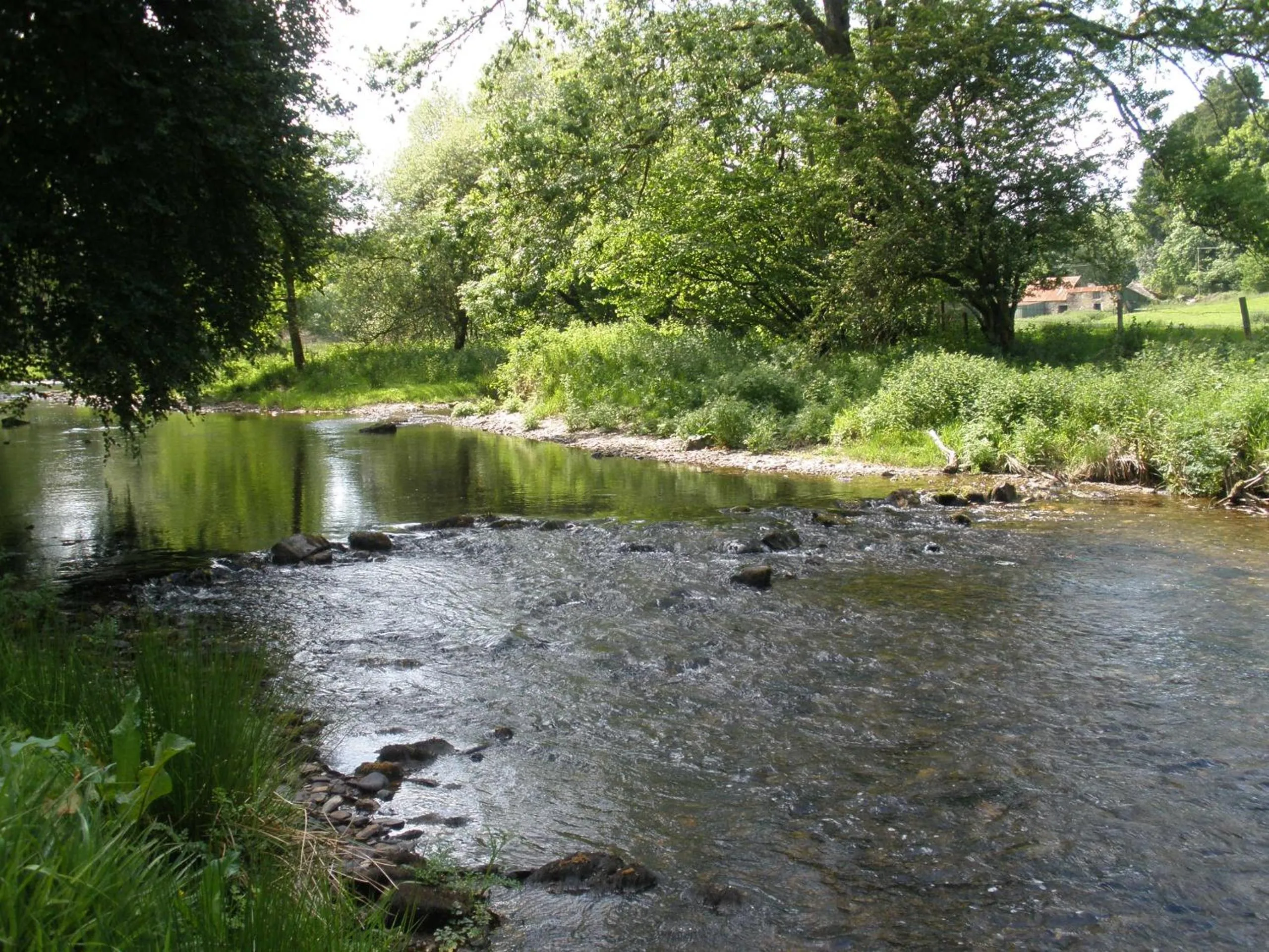 Natural landscape in Kings Farm
