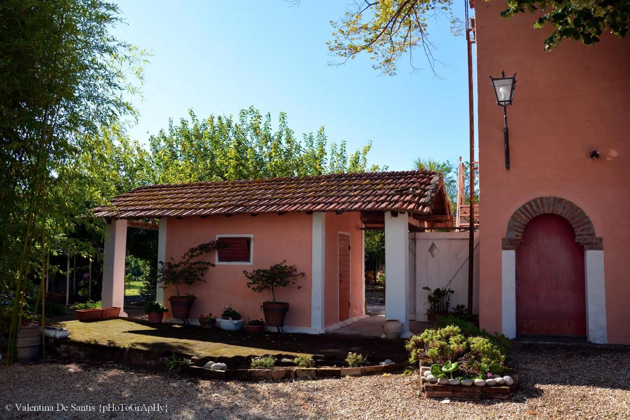 Garden in Casale Del Gelso