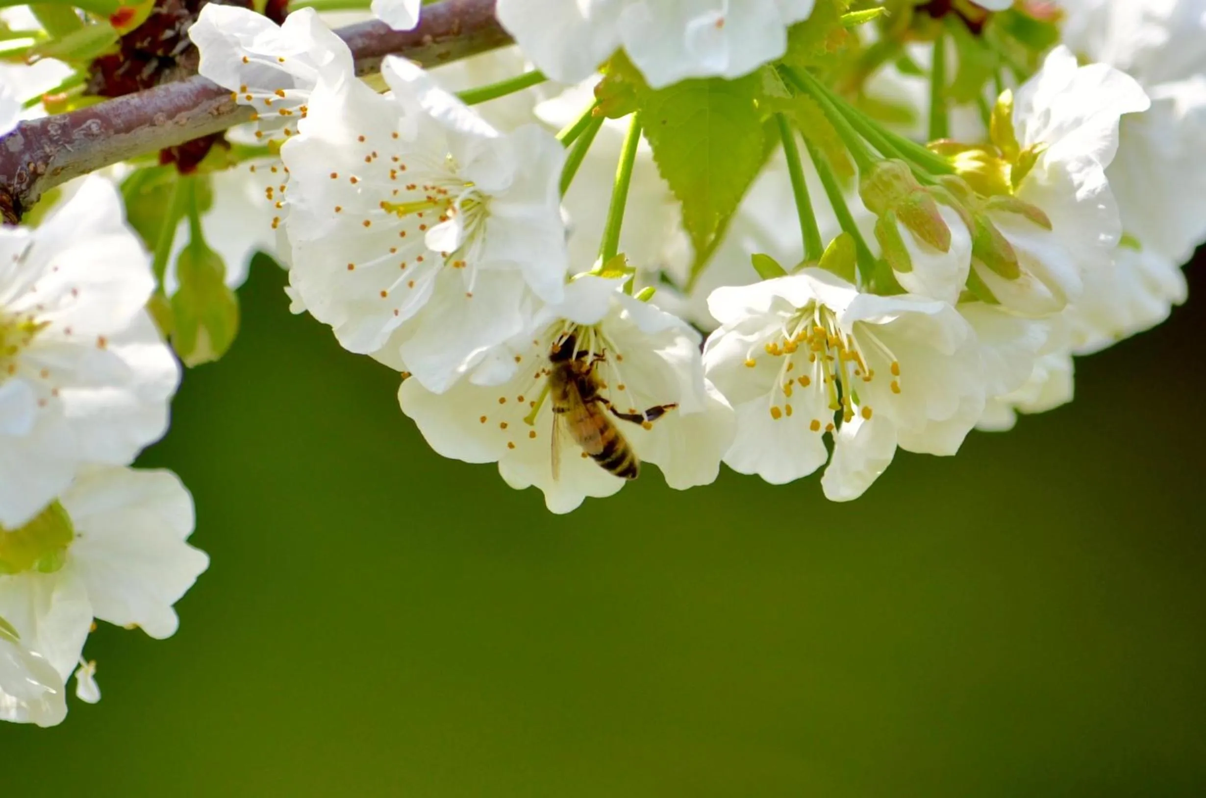 Activities in Casale Del Gelso