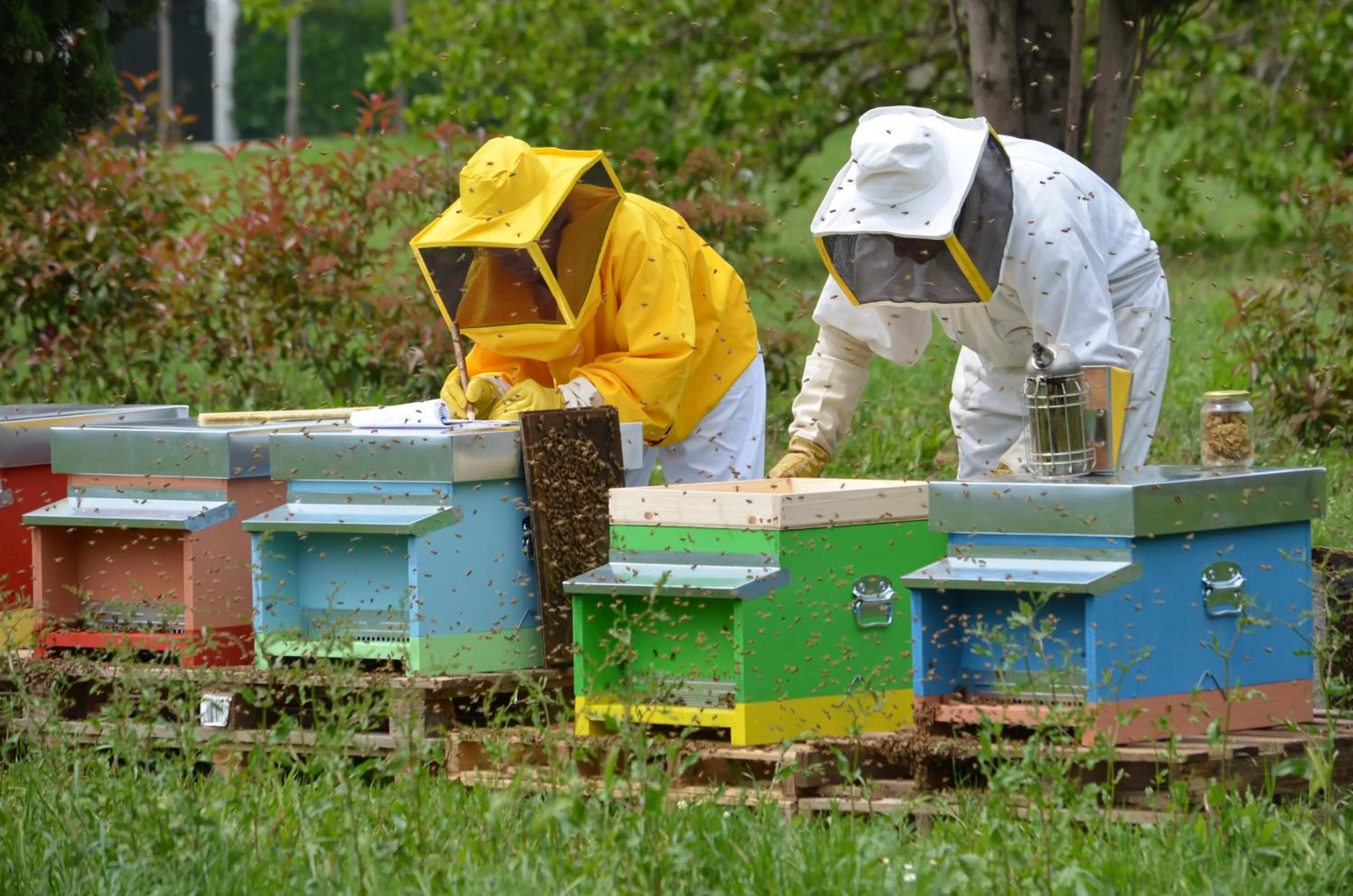 Activities in Casale Del Gelso