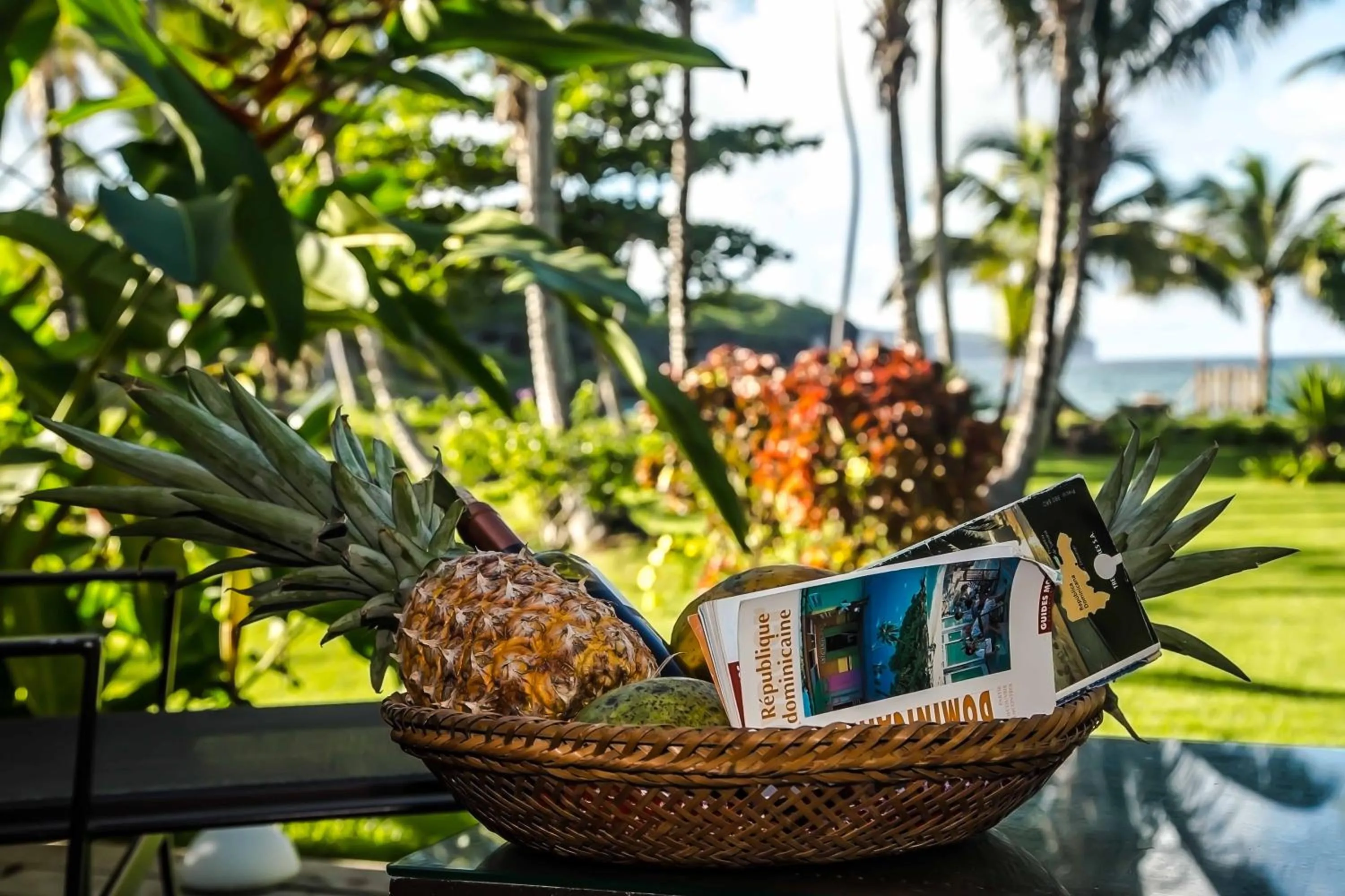 Garden in Villa Ixora - Ocean Front