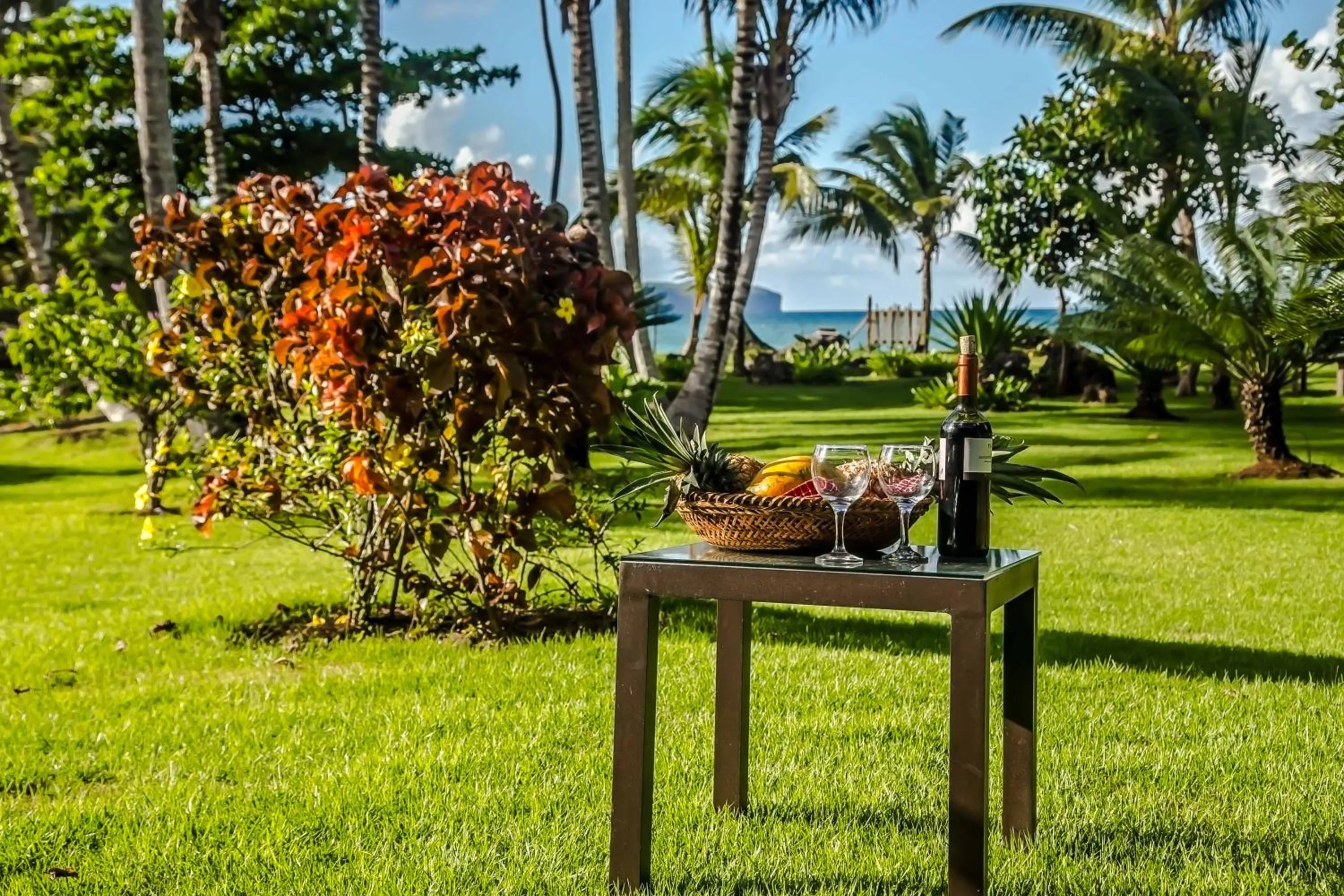 Garden in Villa Ixora - Ocean Front