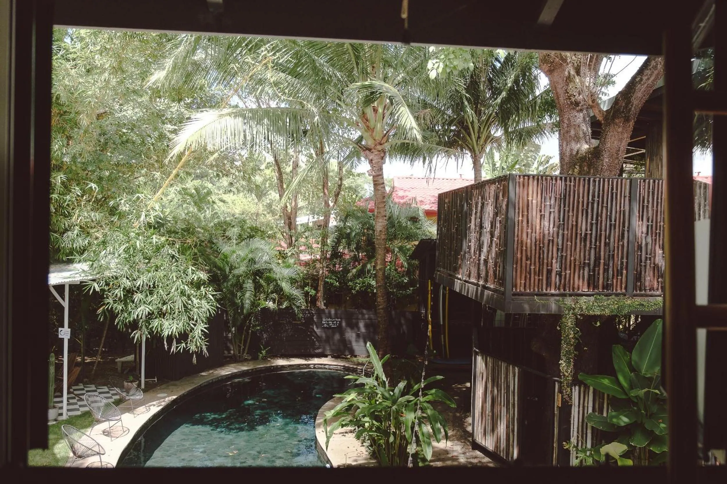 Garden view in La Negra Surf Hotel