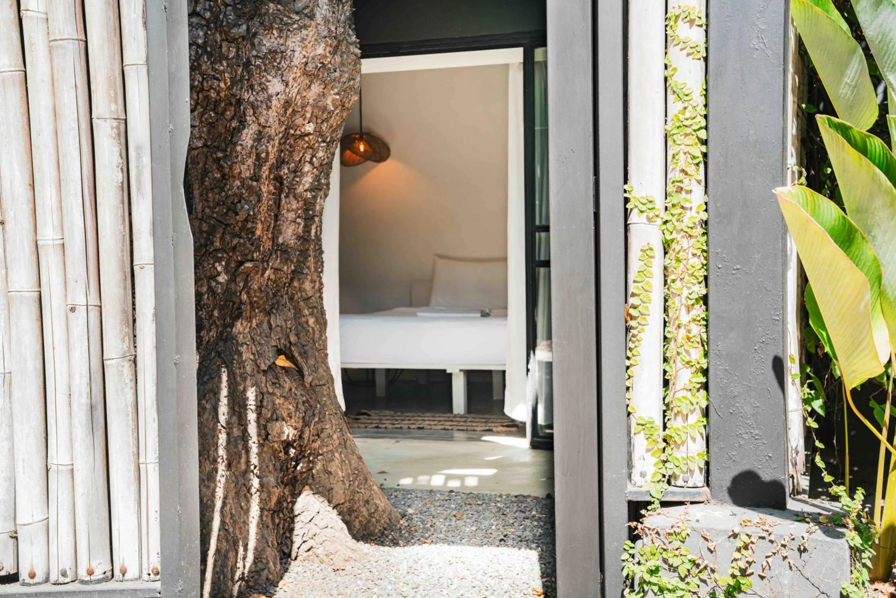 Bed in La Negra Surf Hotel