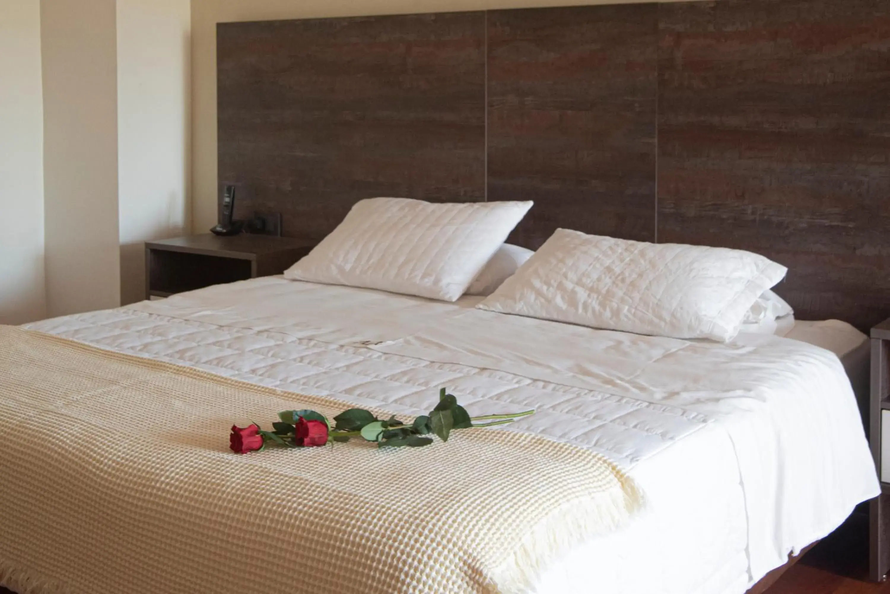 Double or Twin Room in Andares del Agua Double or Twin Room in Andares del Agua