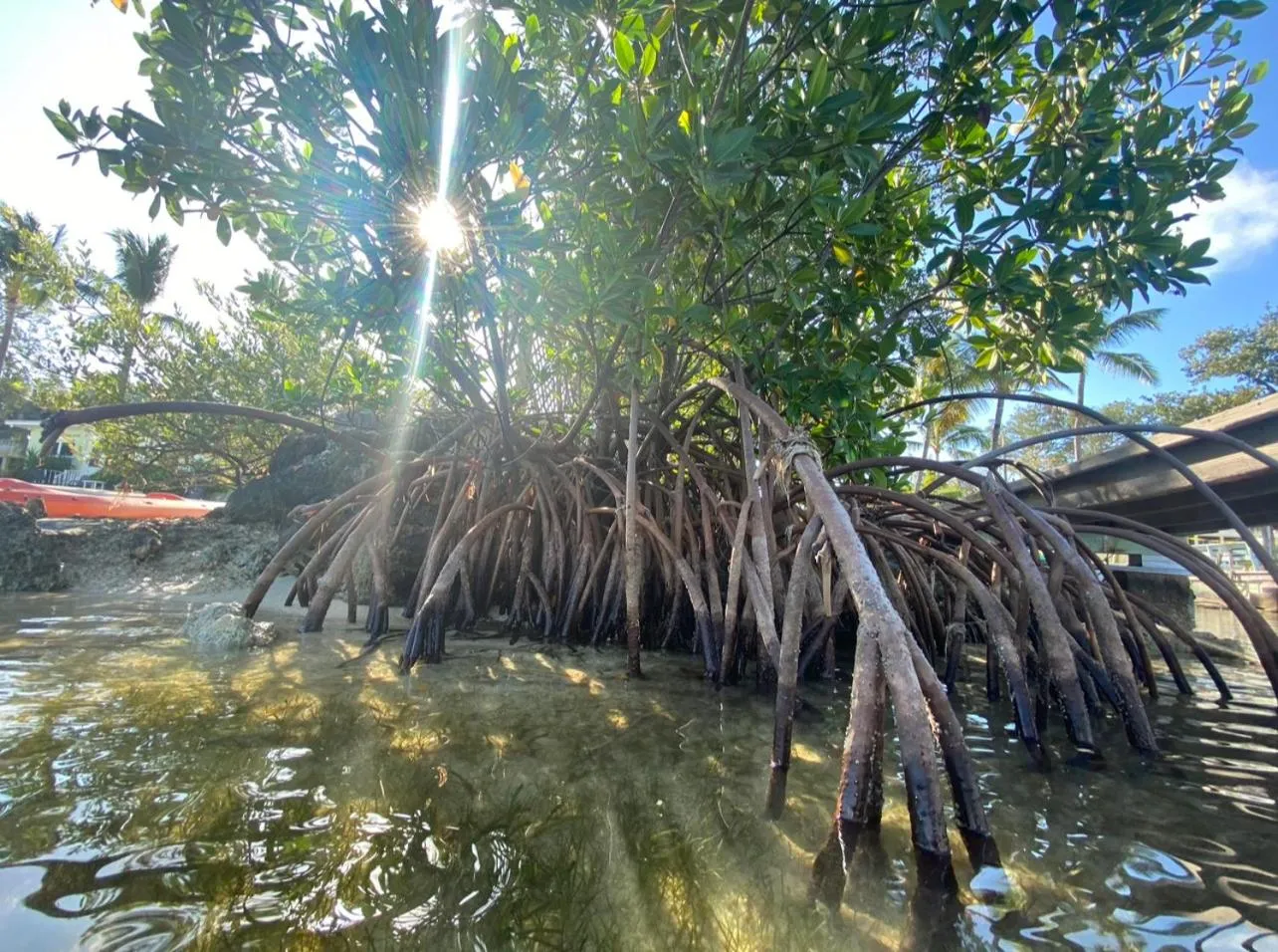Beach in Sunset Cove Beach Resort