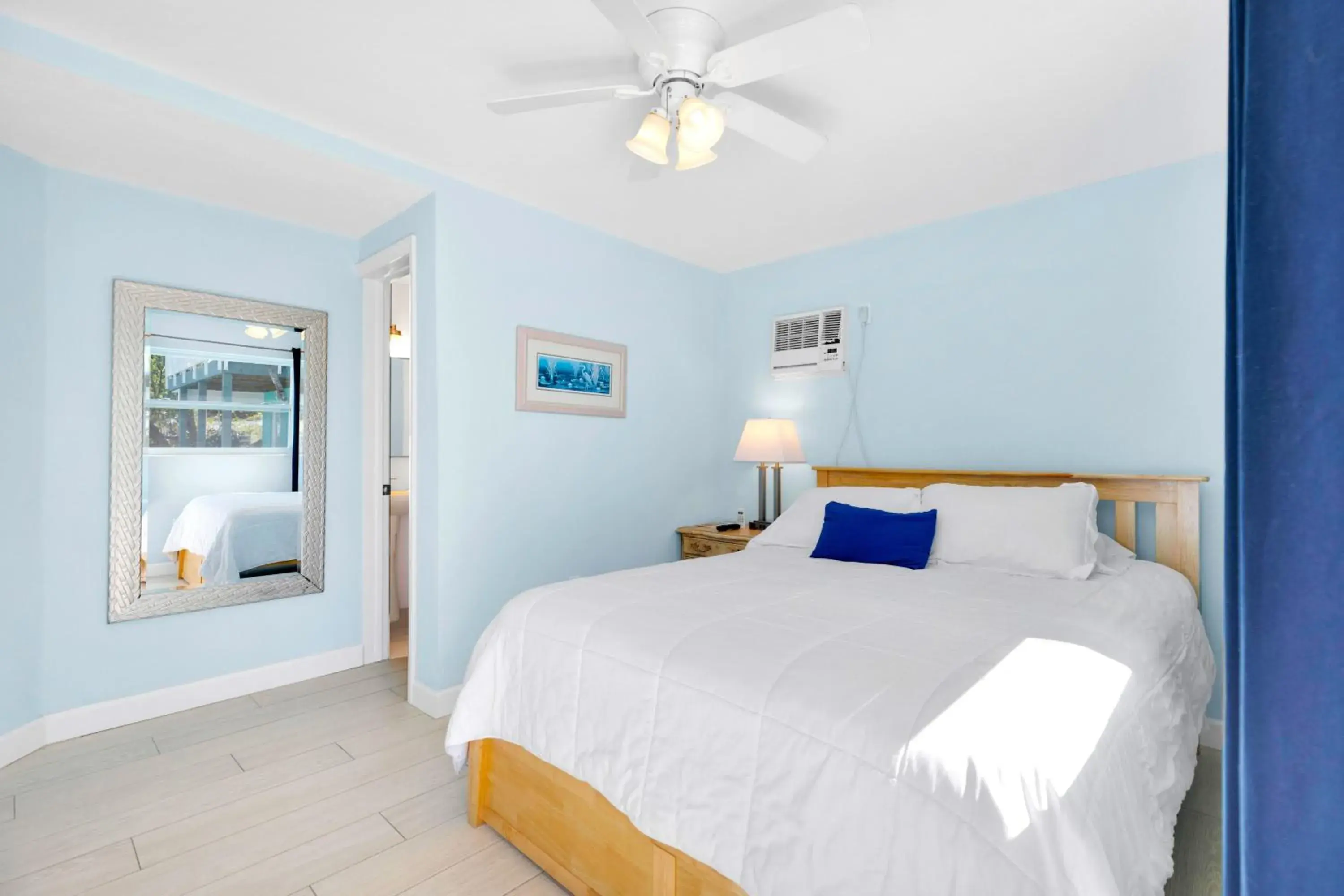 Sand Dollar in Sunset Cove Beach Resort Sand Dollar in Sunset Cove Beach Resort