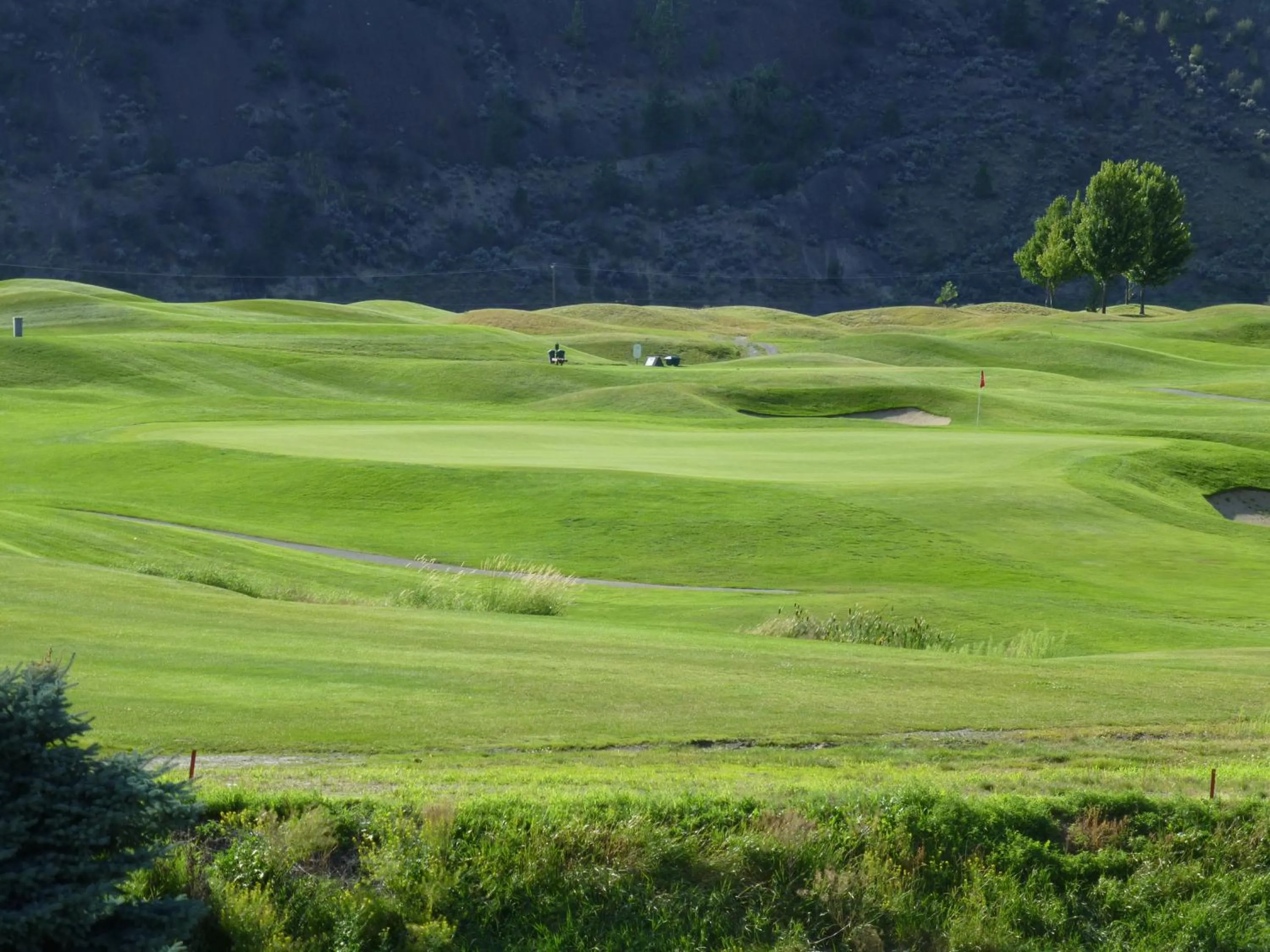 Natural landscape in Overlander B&B