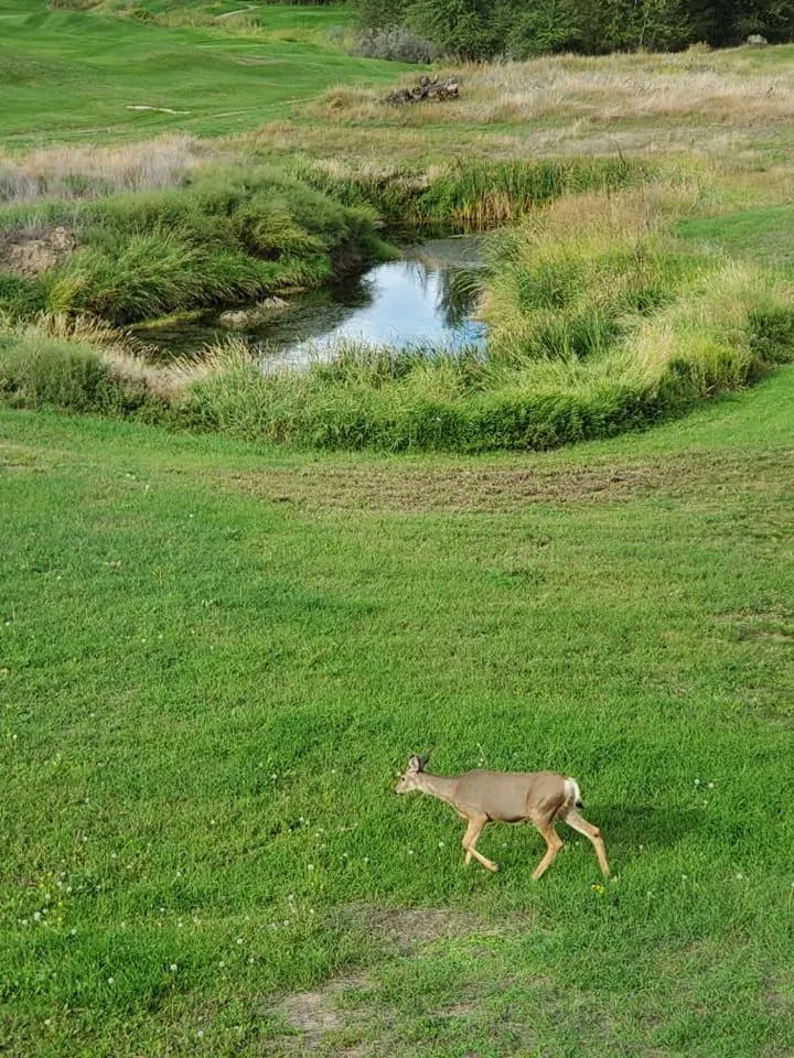 View (from property/room) in Overlander B&B