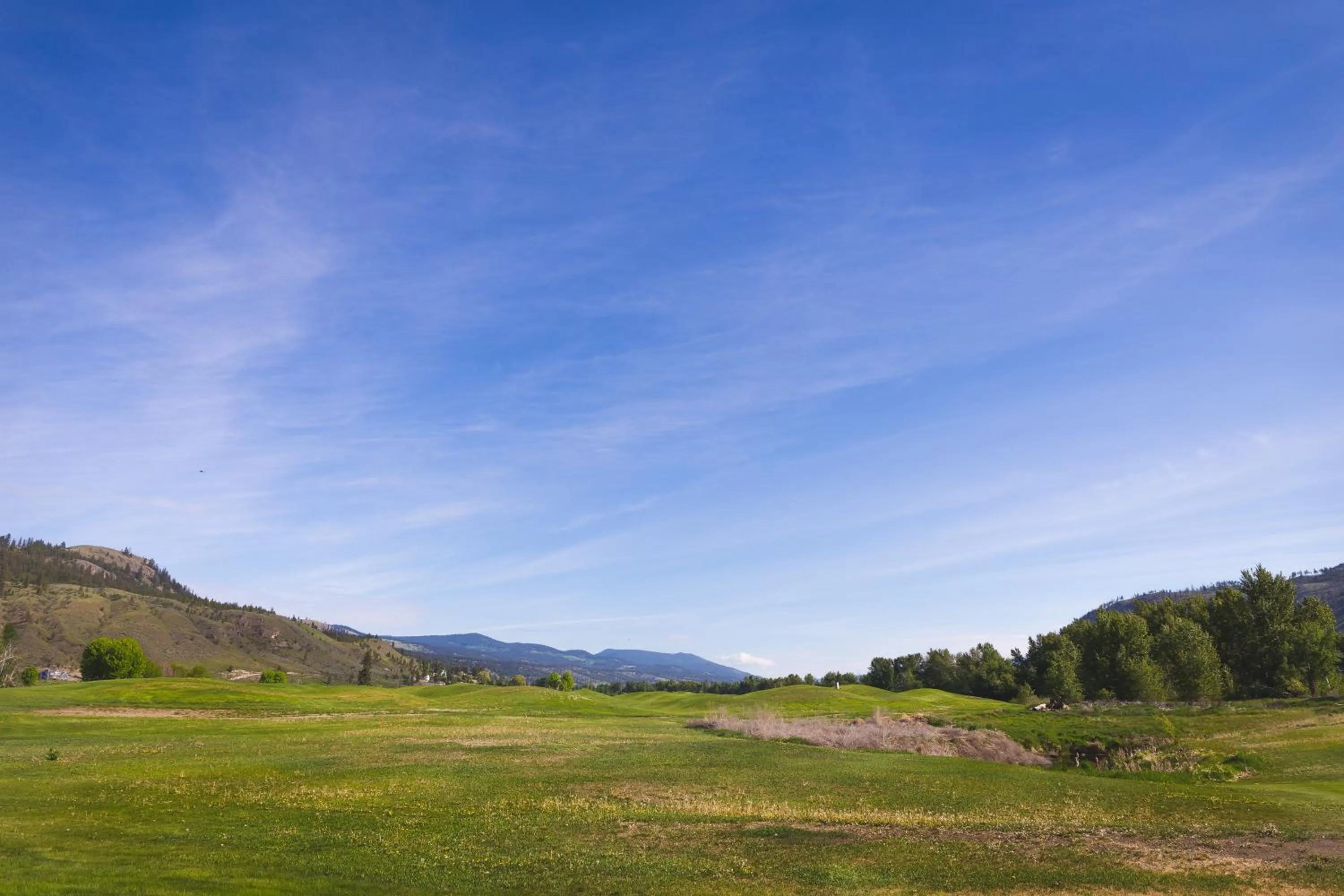 Natural landscape in Overlander B&B