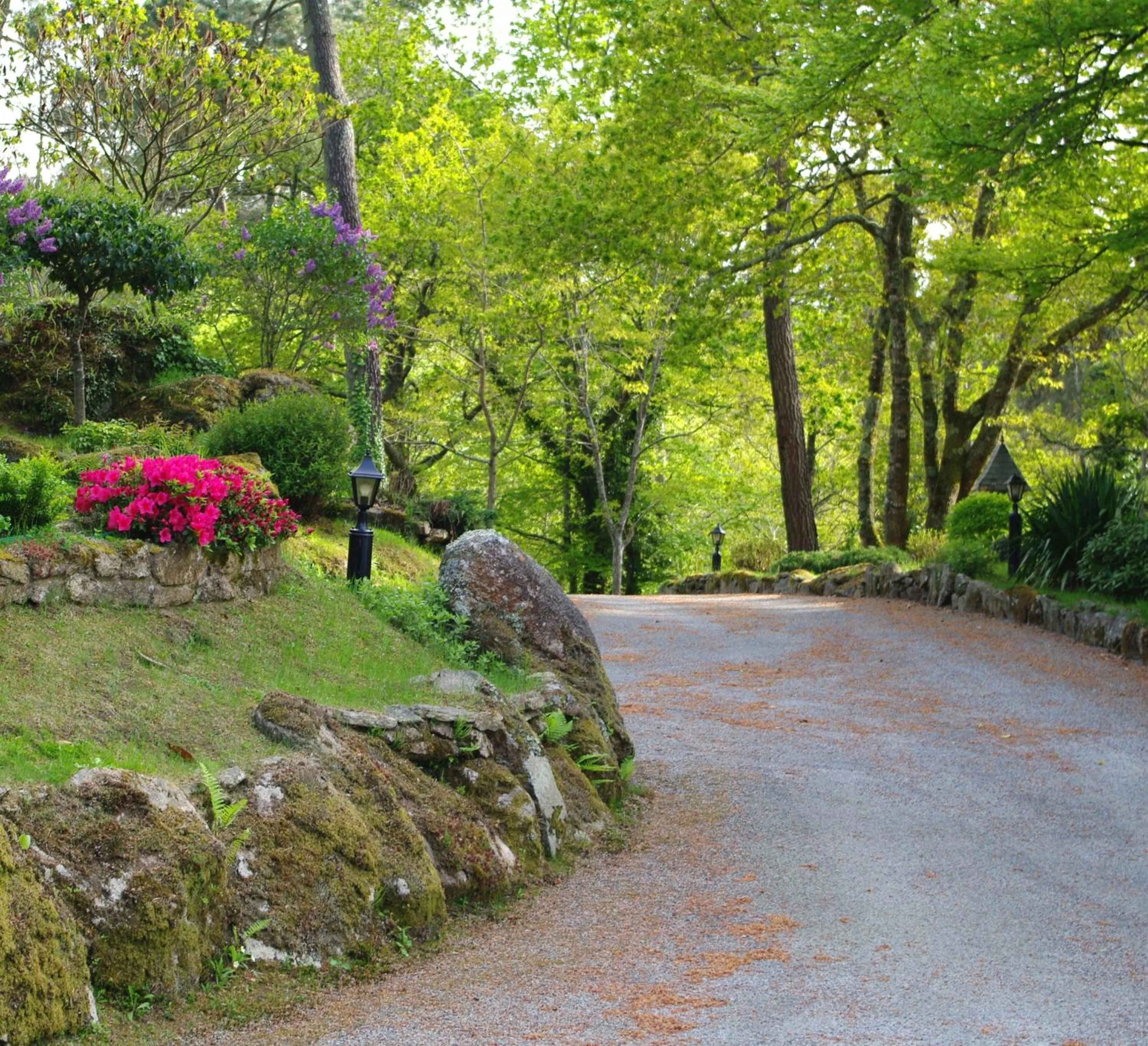 Garden in Manoir De Kertalg