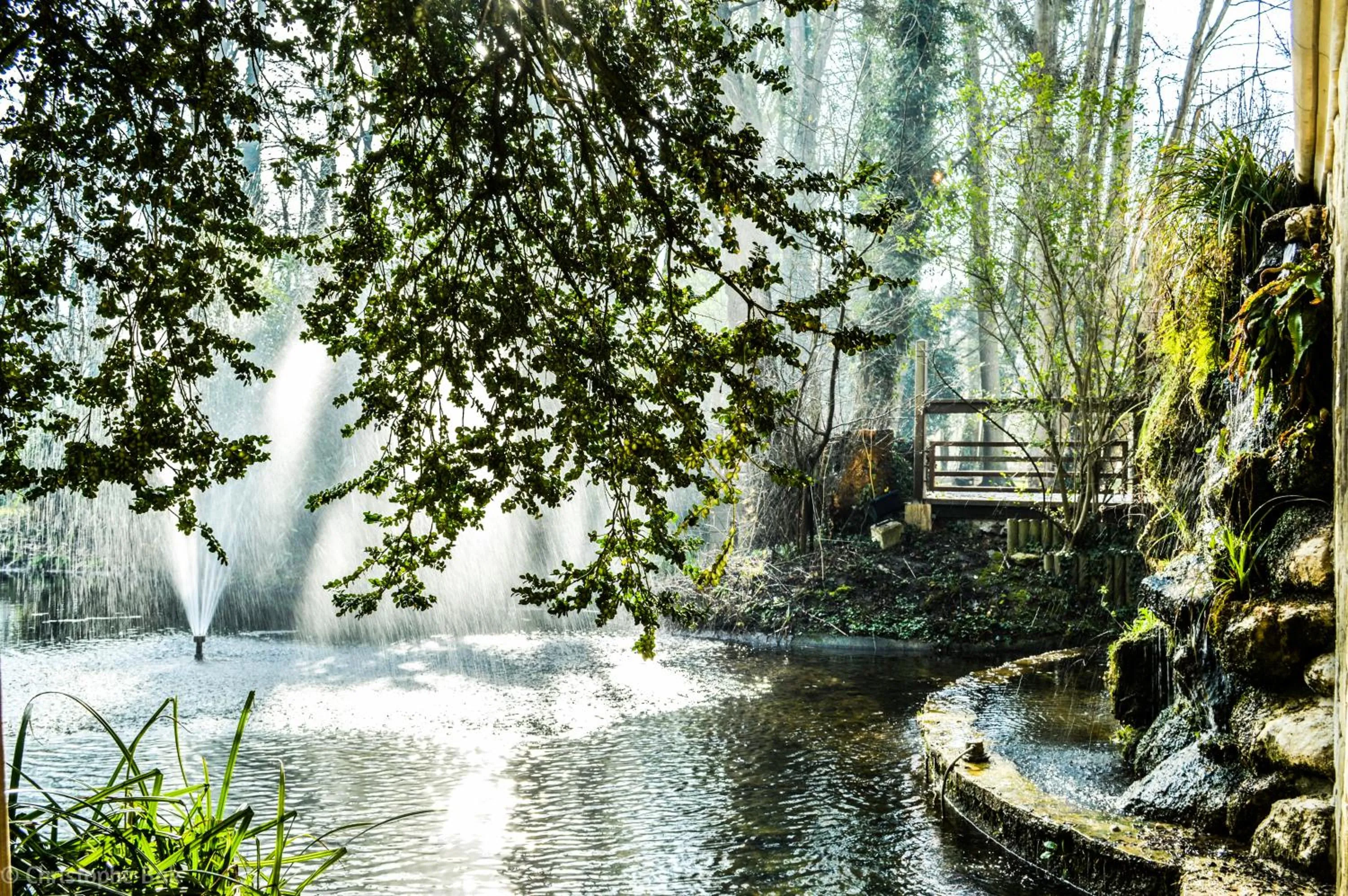 Garden in Les Jardins d'Epicure