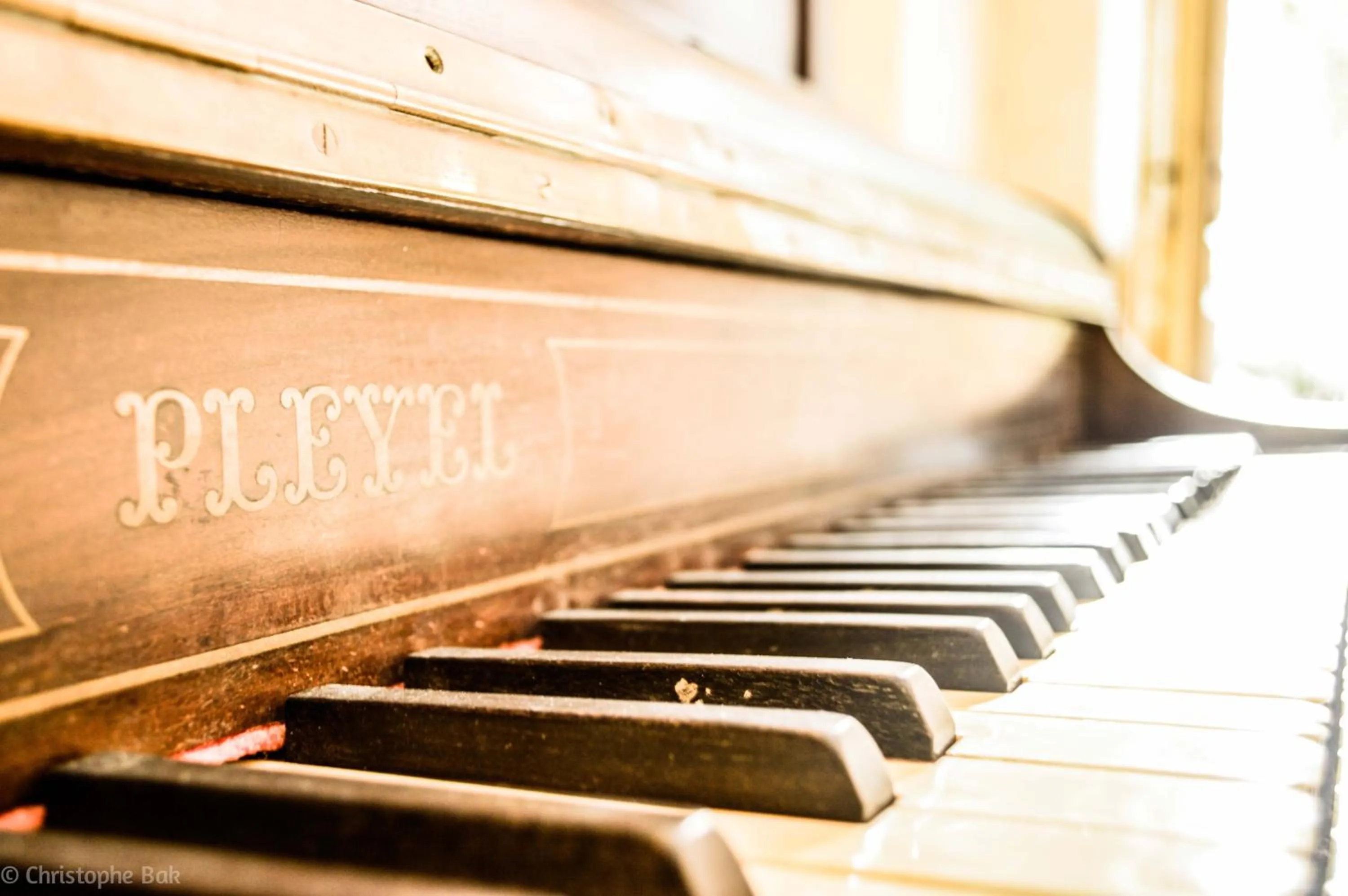 Decorative detail in Les Jardins d'Epicure