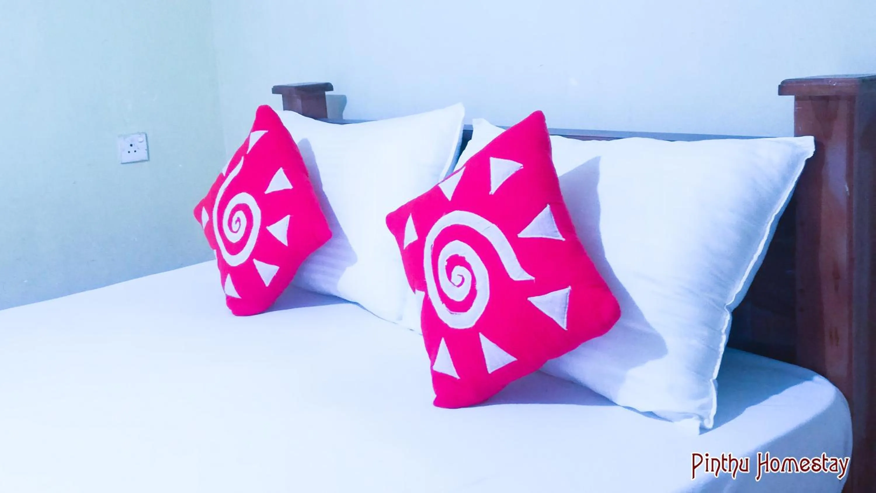 Pinthu Home Stay