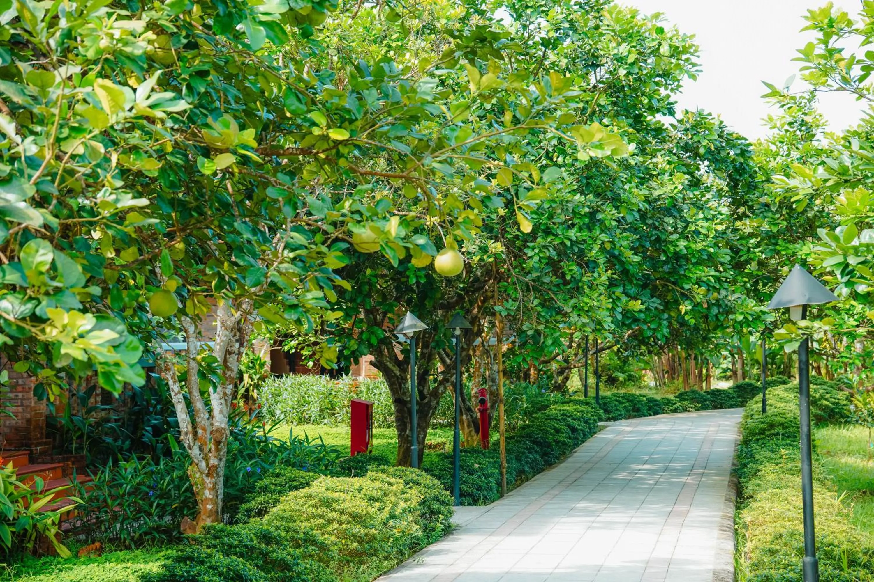 Garden in Hue Ecolodge