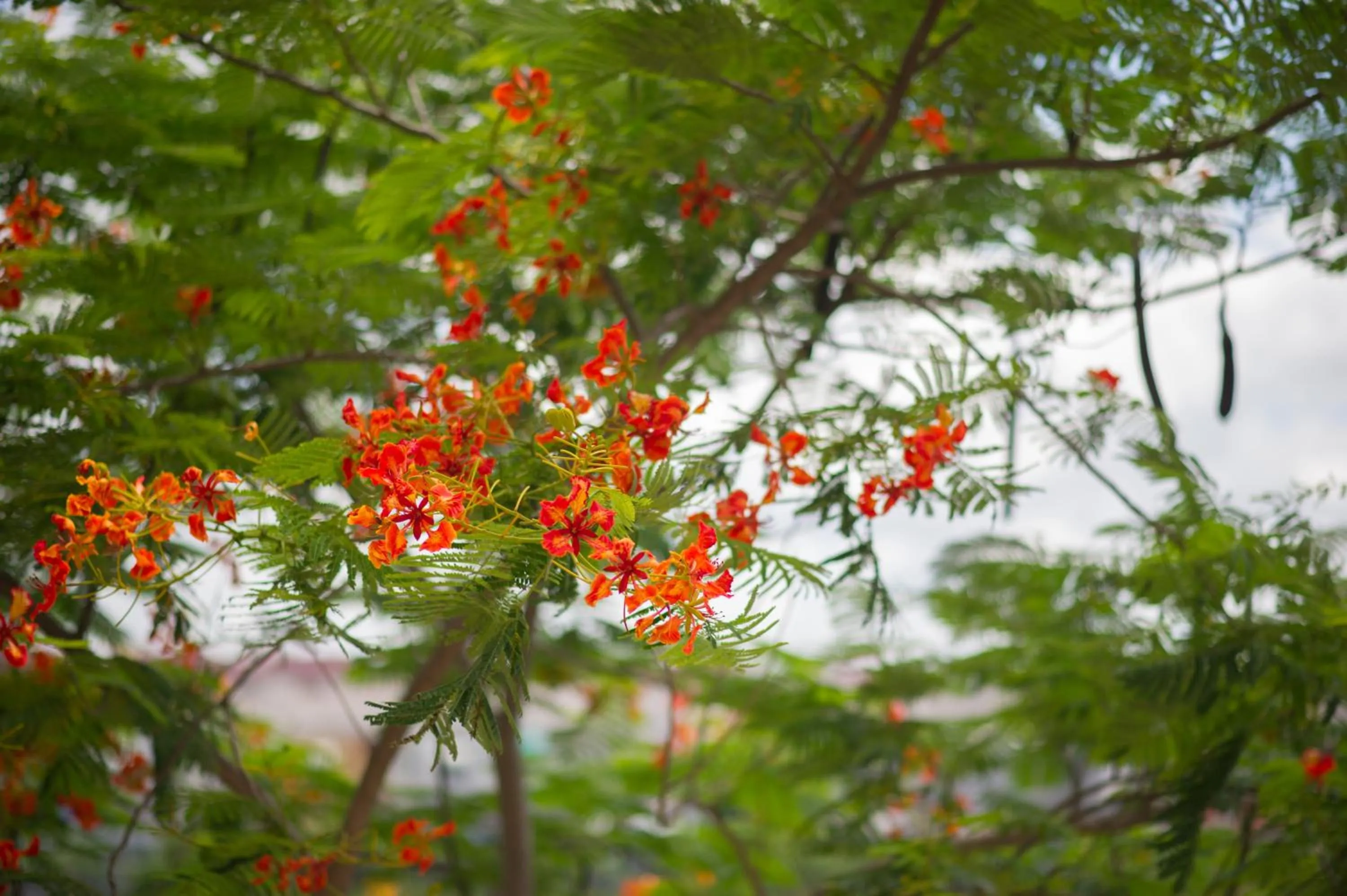 Property building in iChapter Hotel Suvarnabhumi