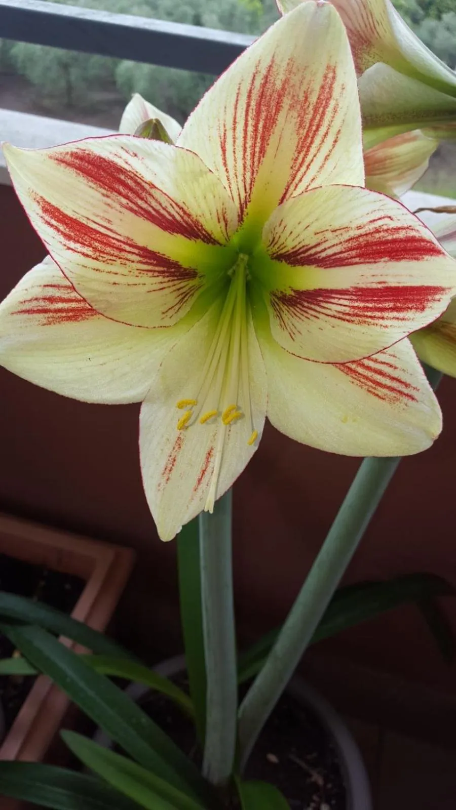 View (from property/room) in Mà Maison