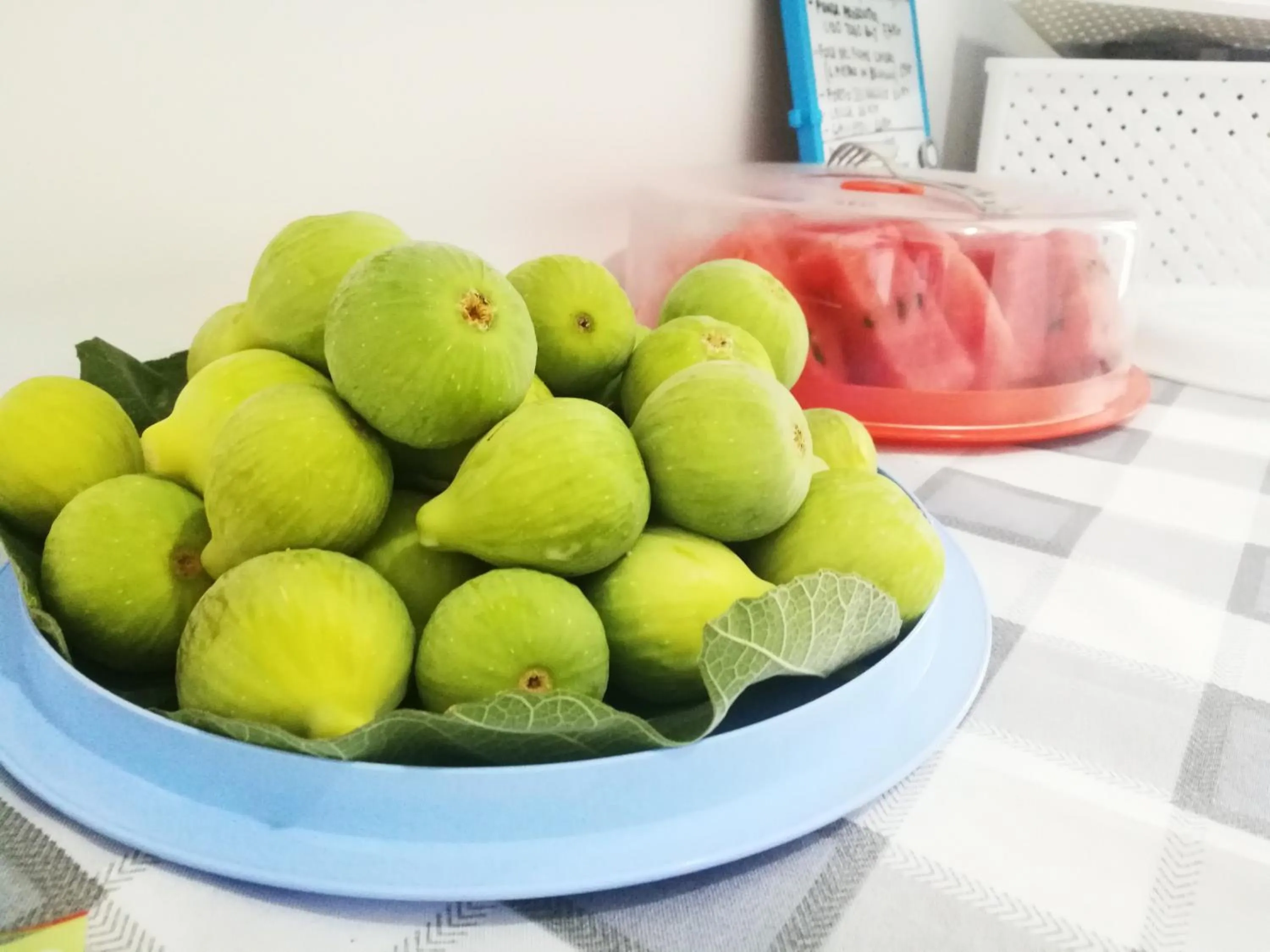 Food and drinks in B&B DreAm Porto Cesareo