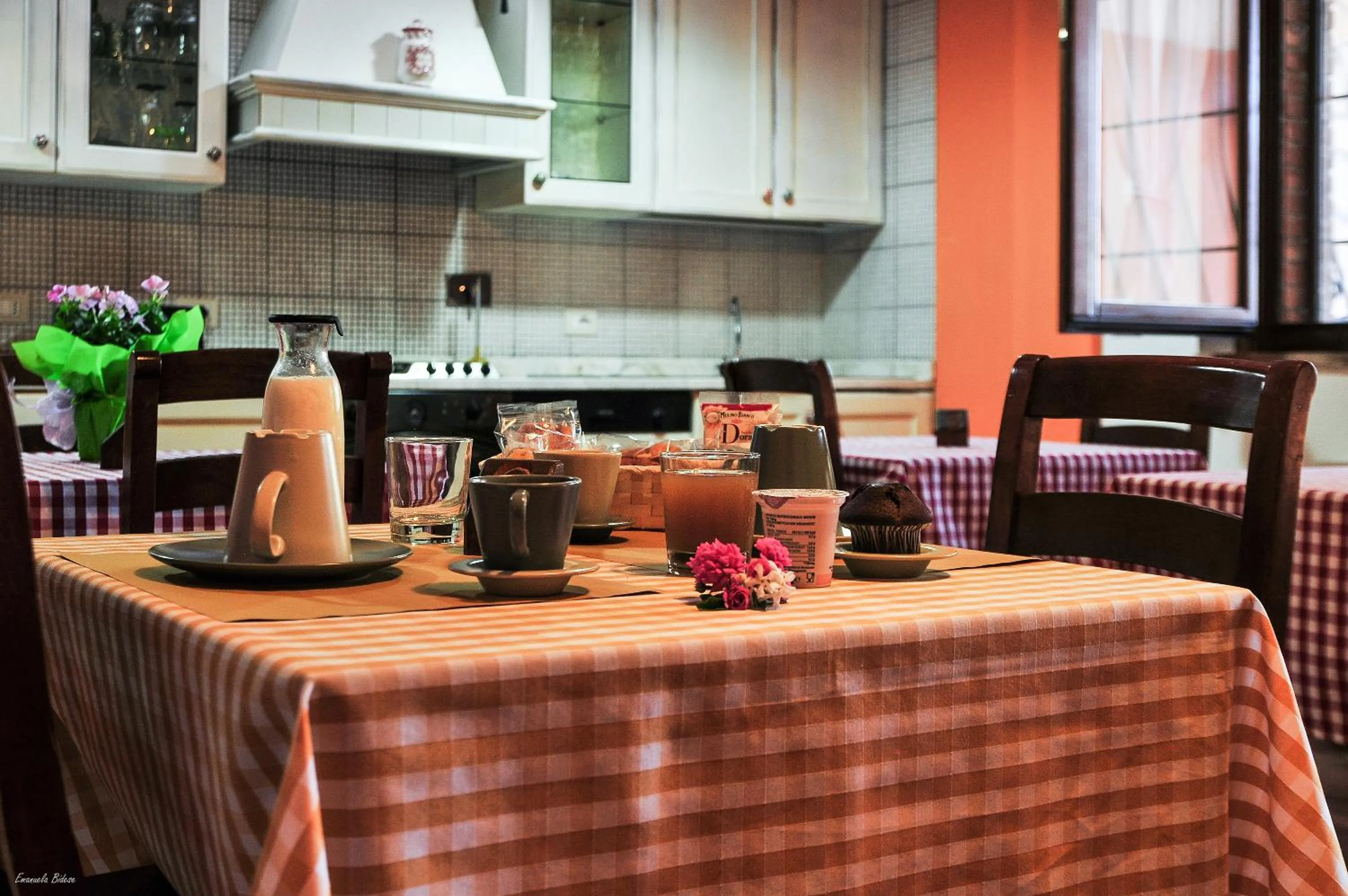 Communal kitchen in Casalventodimare e Tramontana