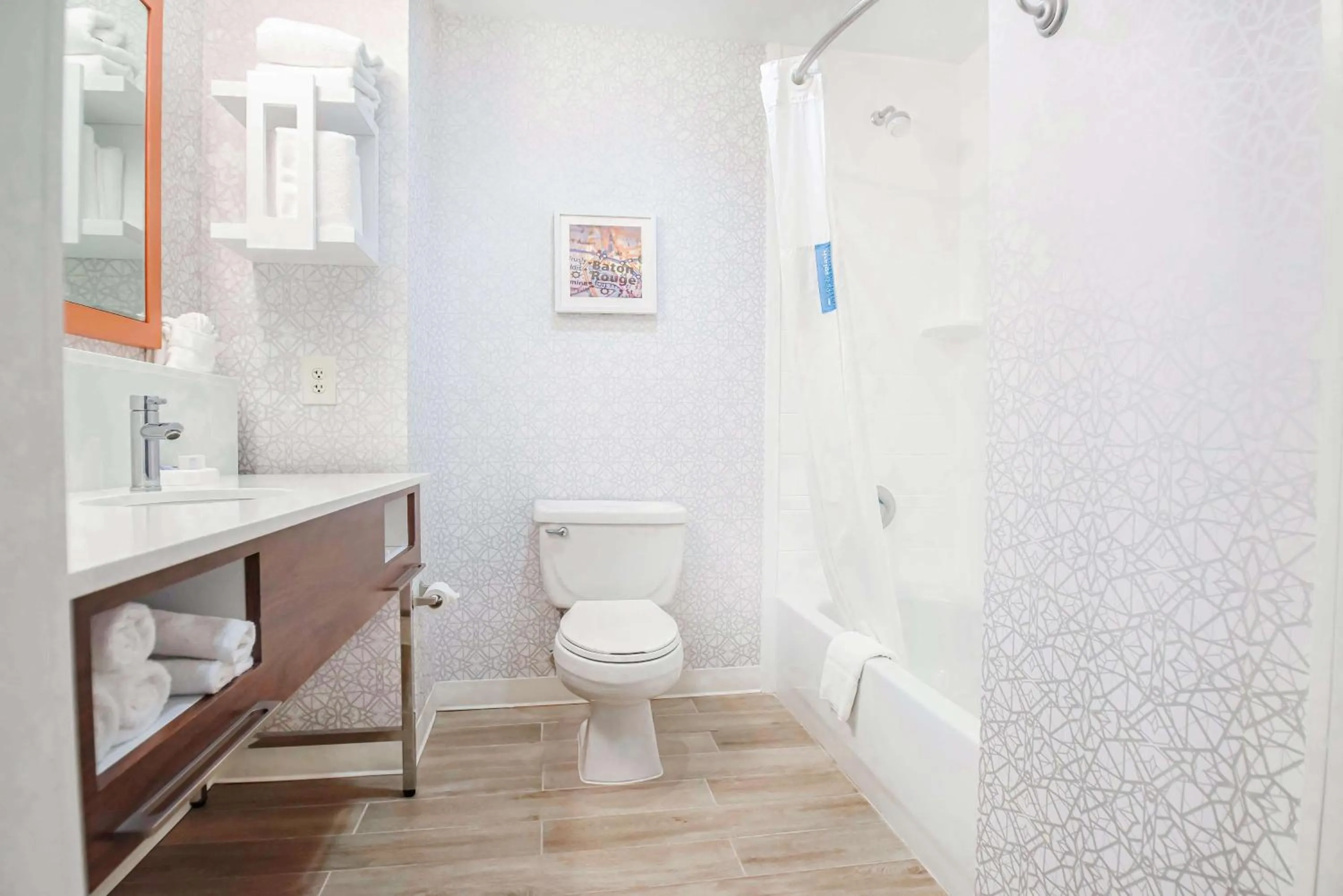 Bathroom in Hampton Inn Baton Rouge - Denham Springs