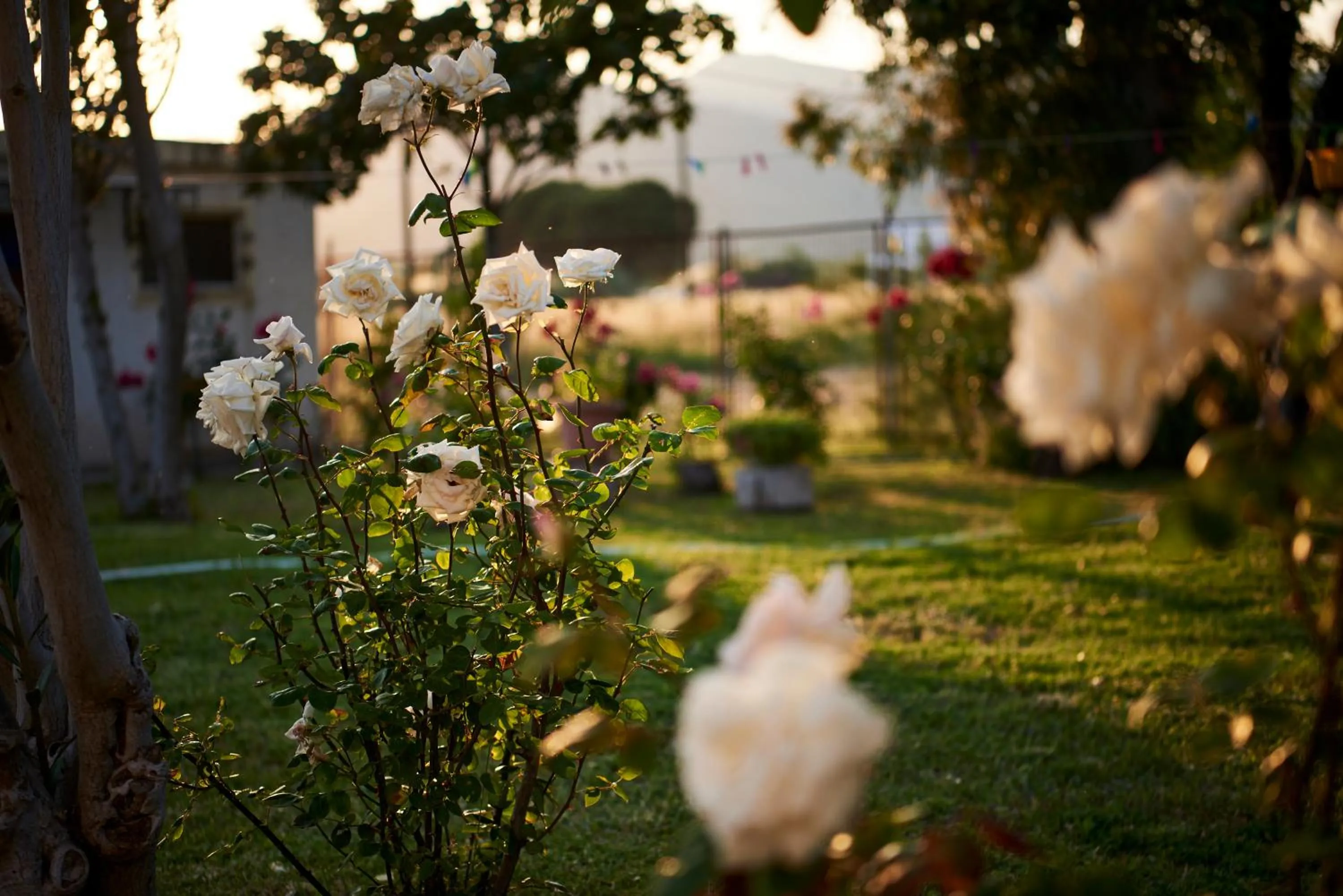 Natural landscape in Kalloni Bay