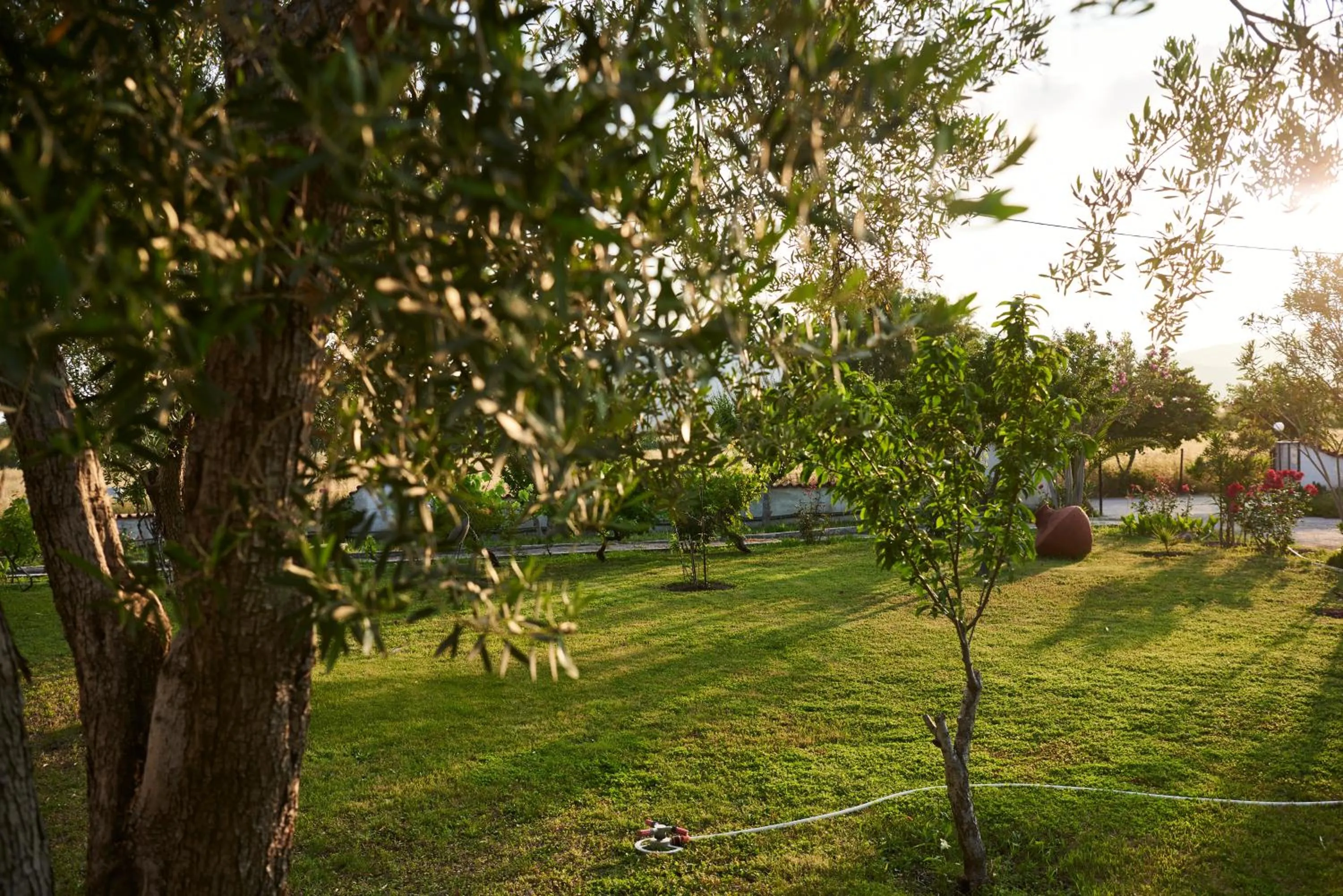 Natural landscape in Kalloni Bay